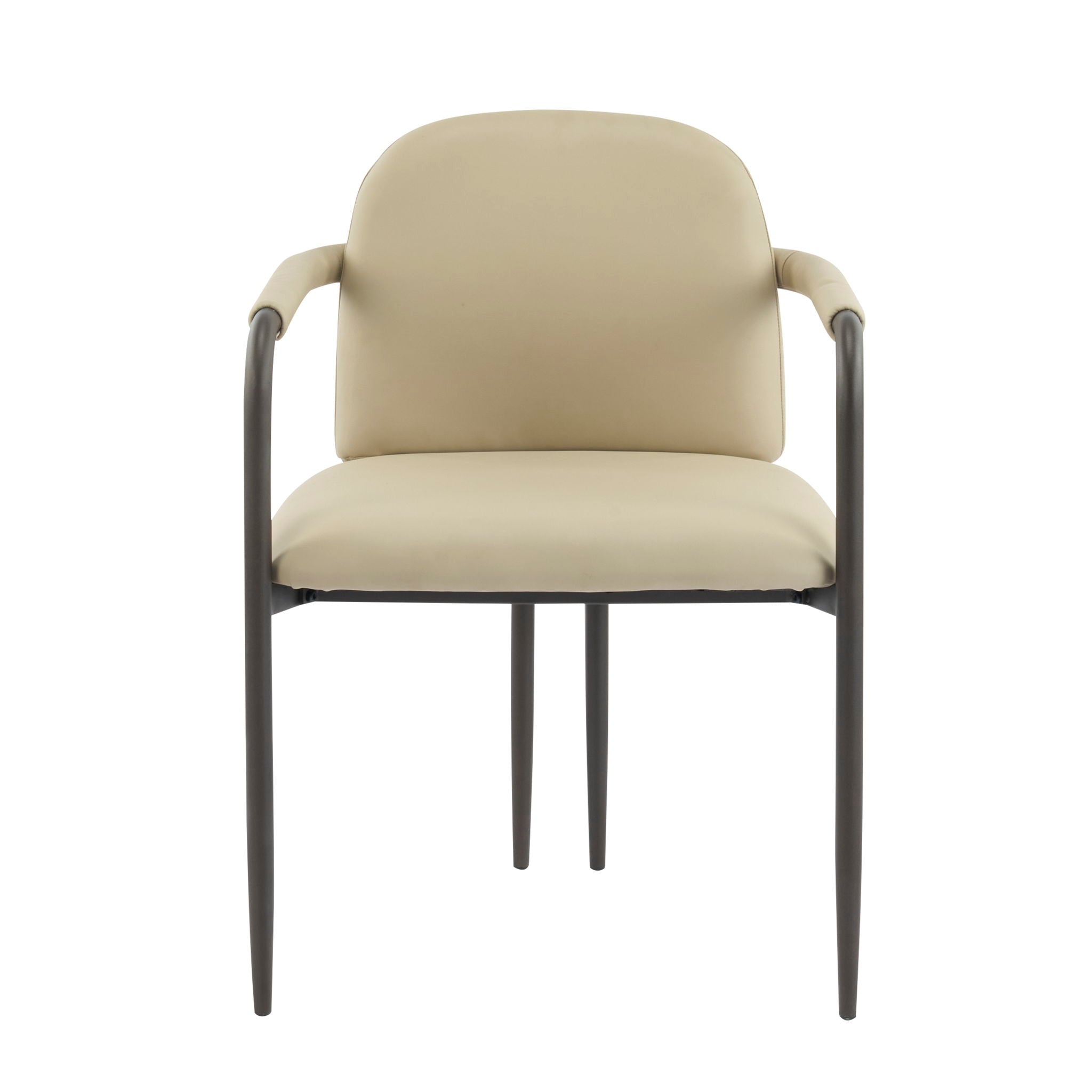 Modern Dining Chair (Set of 2) With Iron Frame - Espresso / Khaki