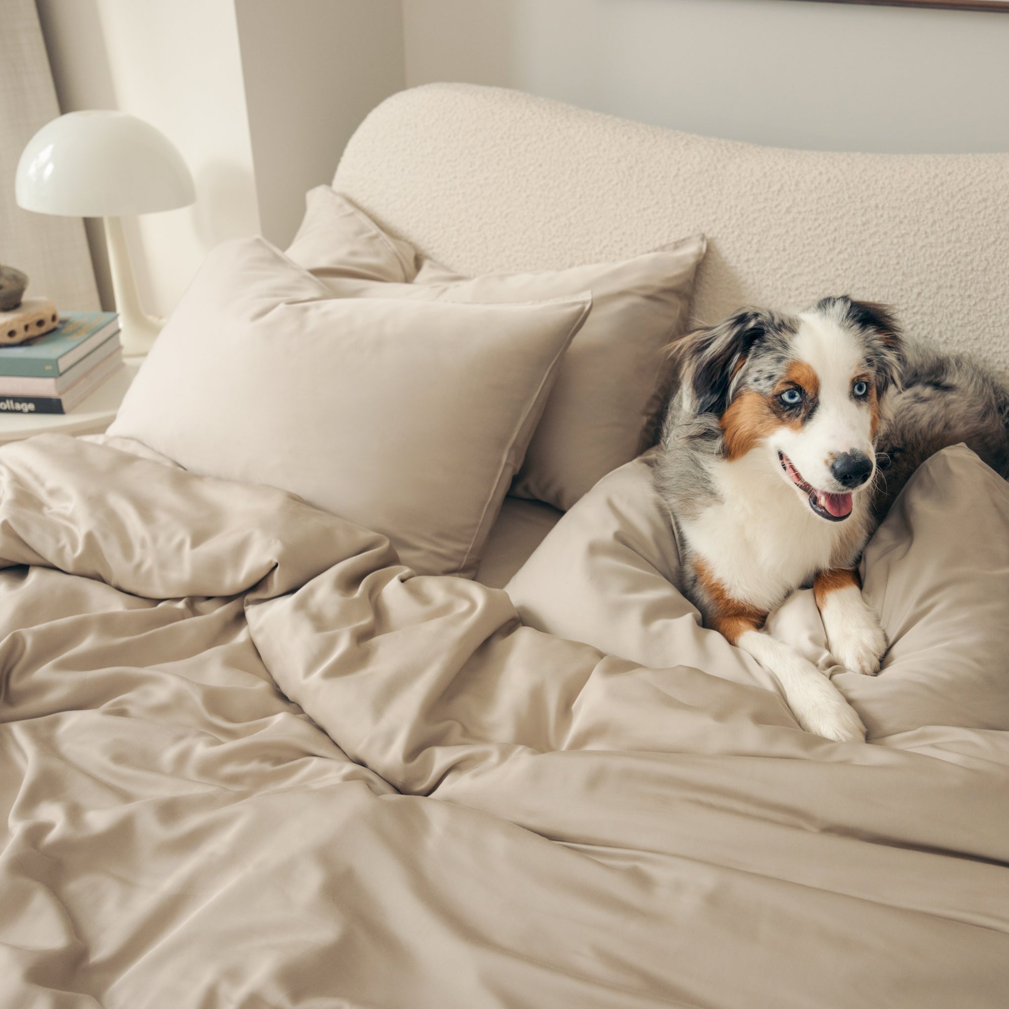 Organic Bamboo Sateen Bed Sheet Set