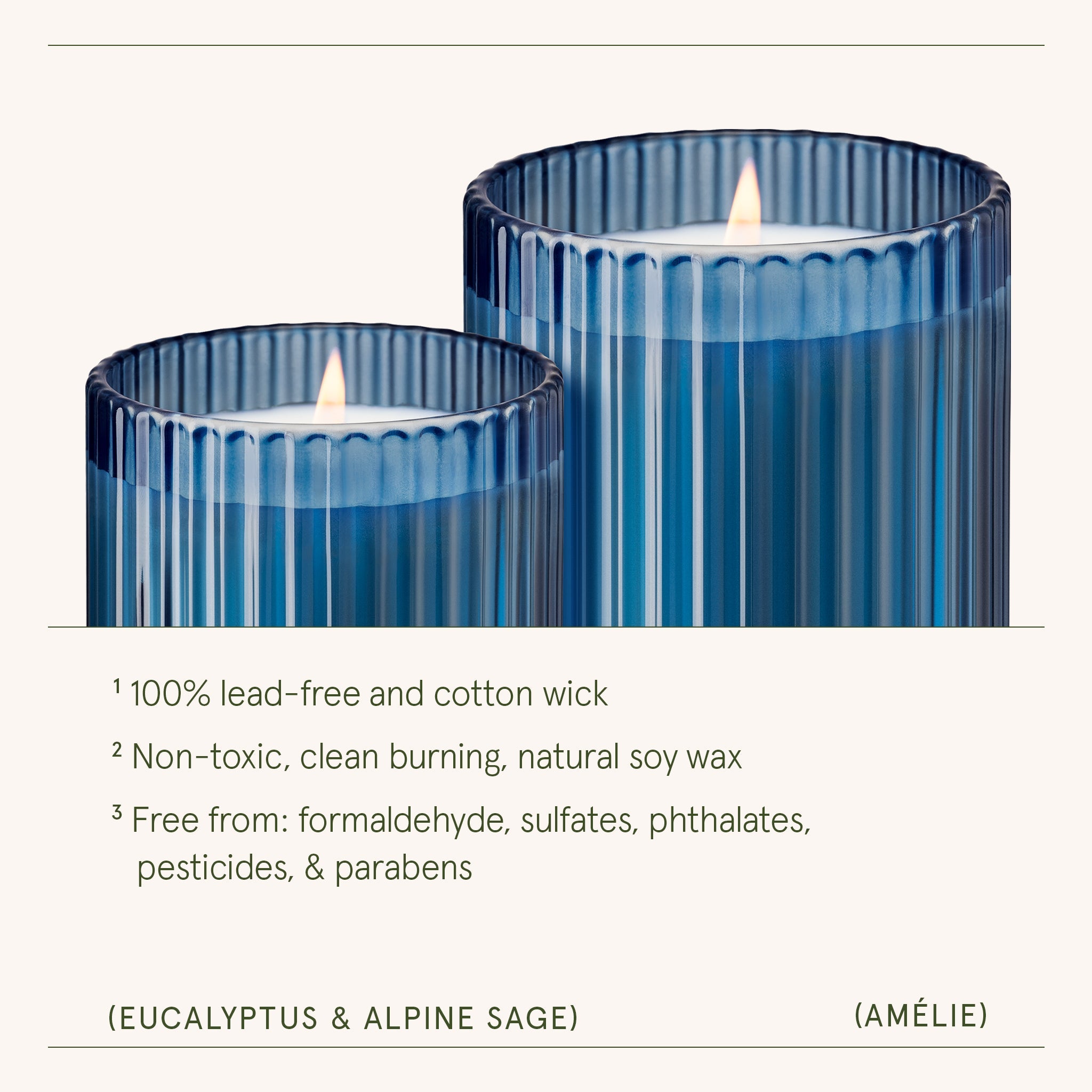 Amélie – Eucalyptus & Alpine Sage Candle