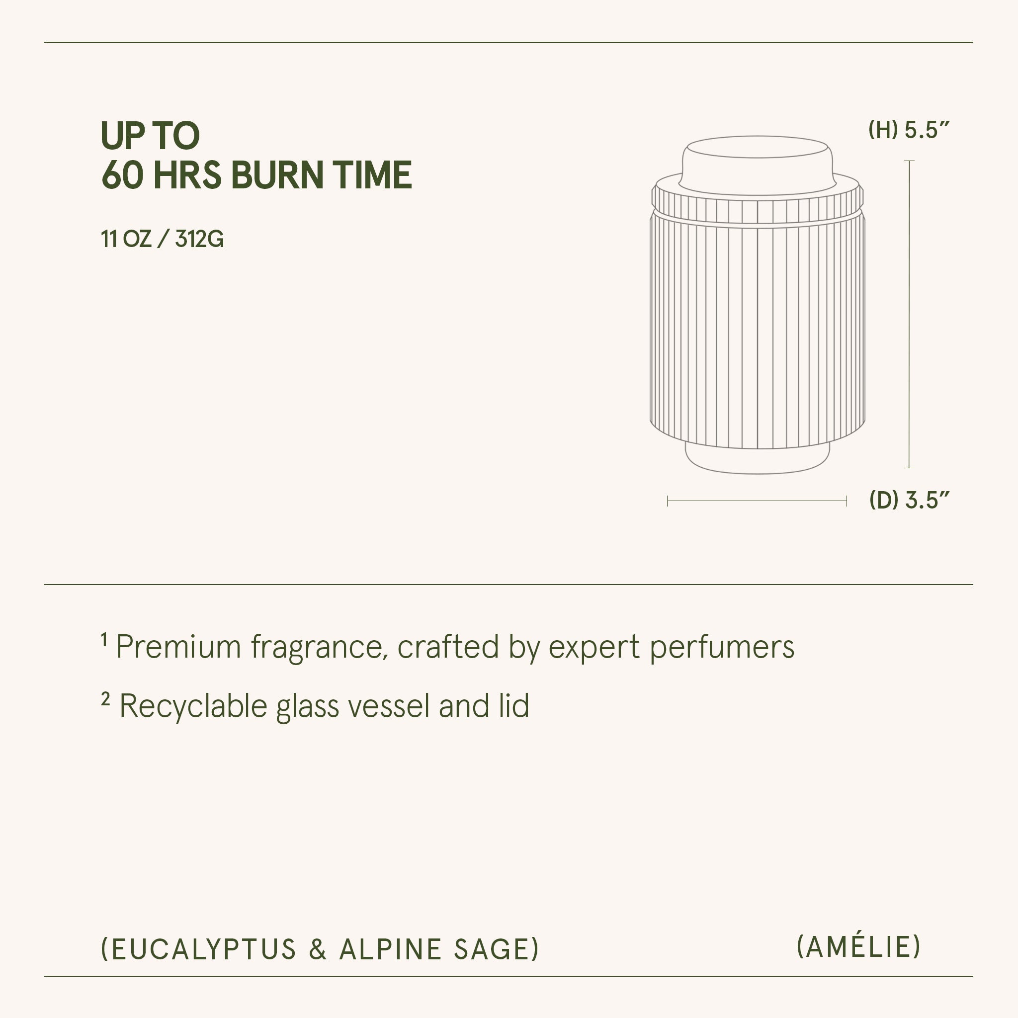 Amélie – Eucalyptus & Alpine Sage Candle