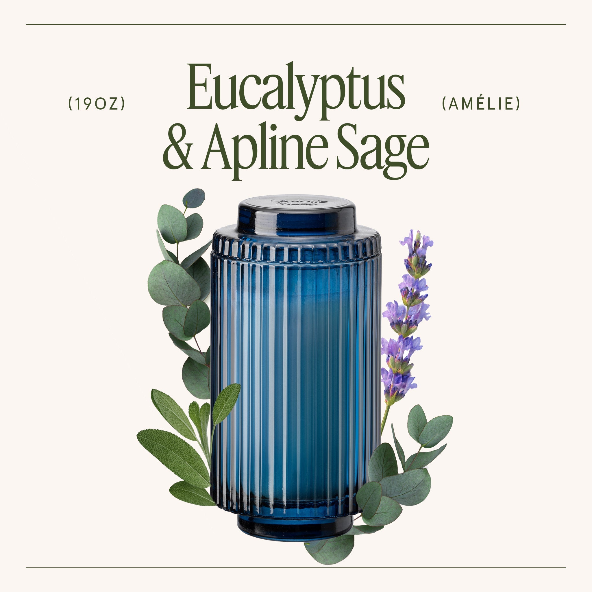 Amélie – Eucalyptus & Alpine Sage Candle