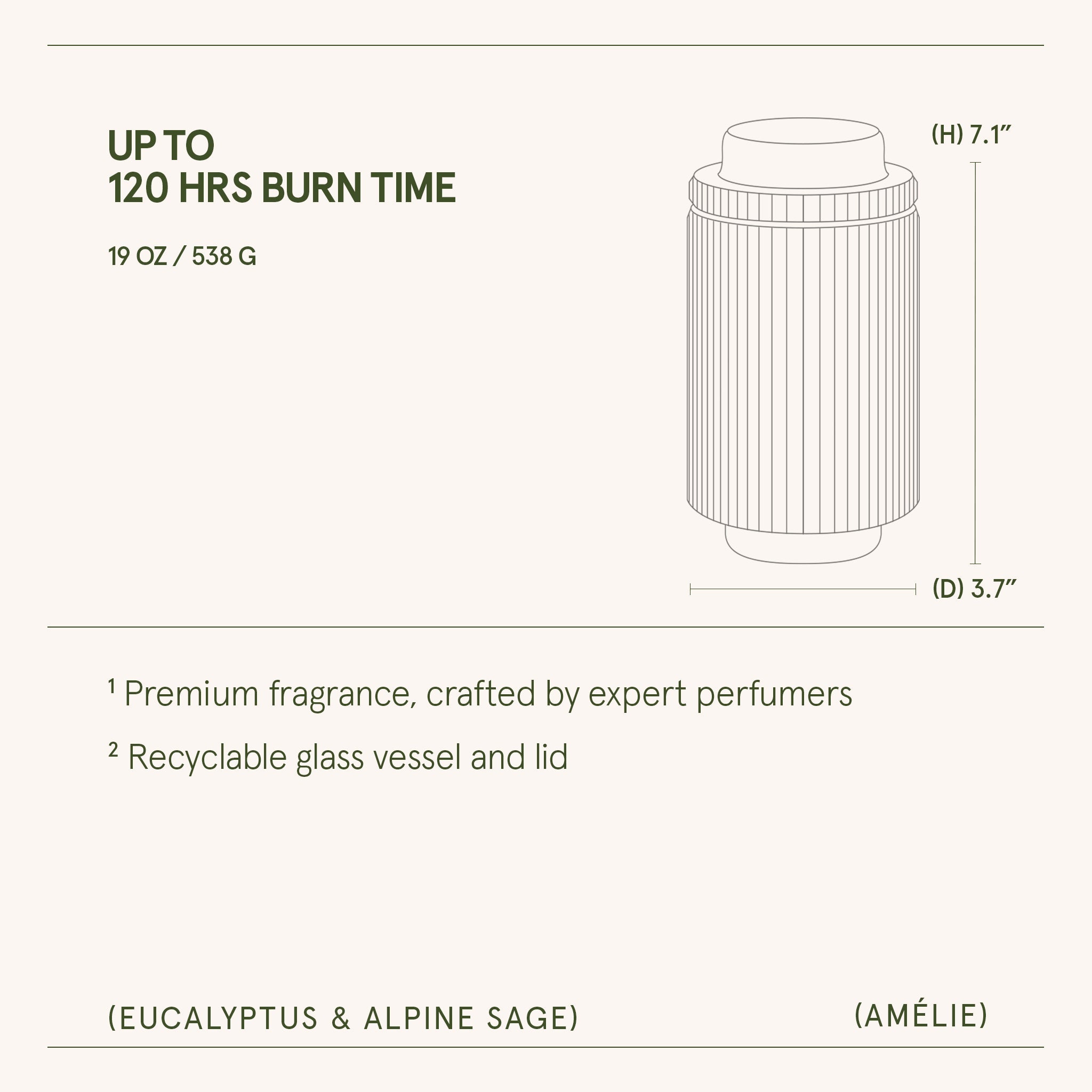 Amélie – Eucalyptus & Alpine Sage Candle