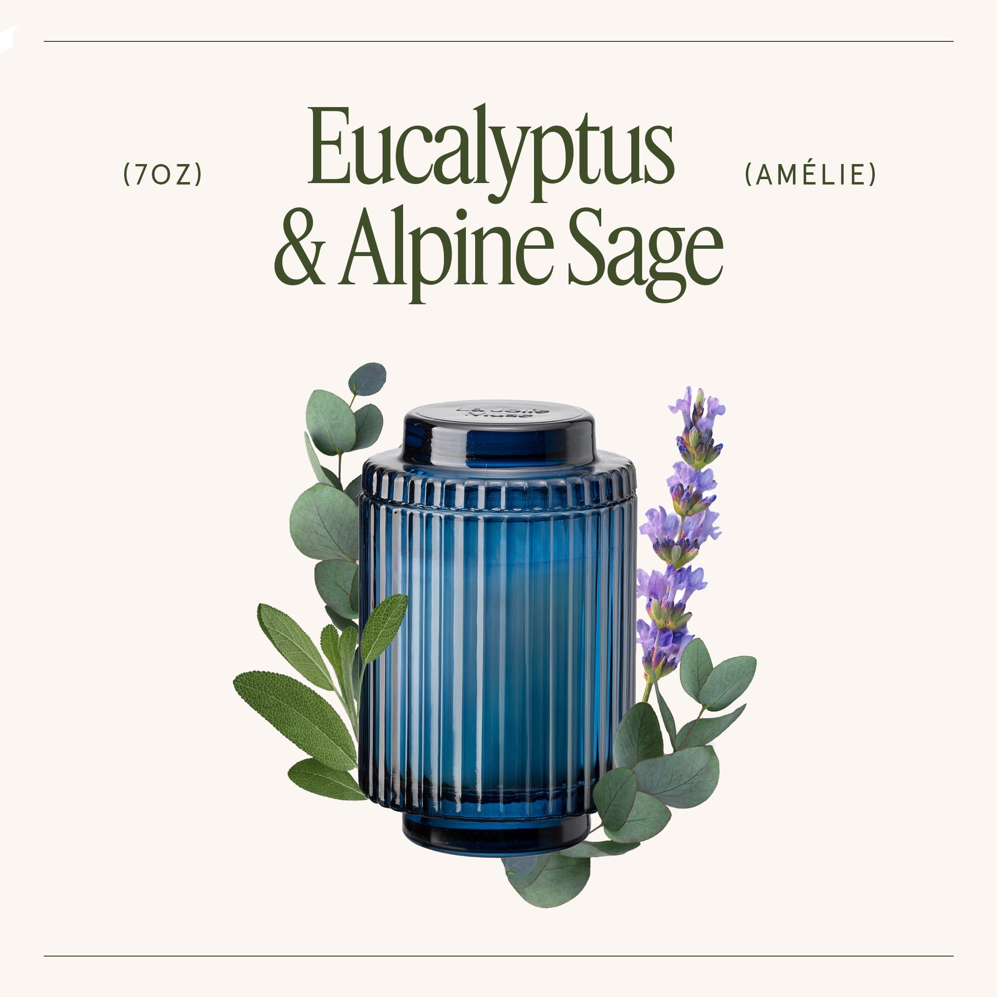 Amélie – Eucalyptus & Alpine Sage Candle