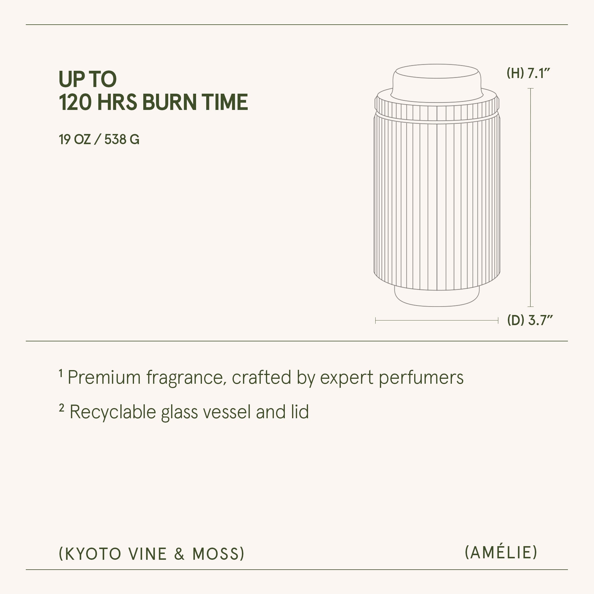 Amélie– Kyoto Vine & Moss Candle