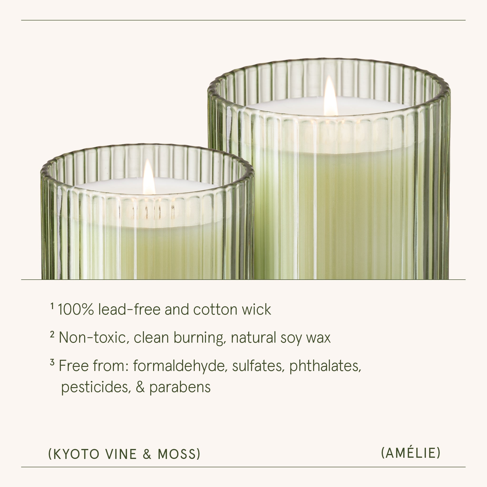 Amélie– Kyoto Vine & Moss Candle