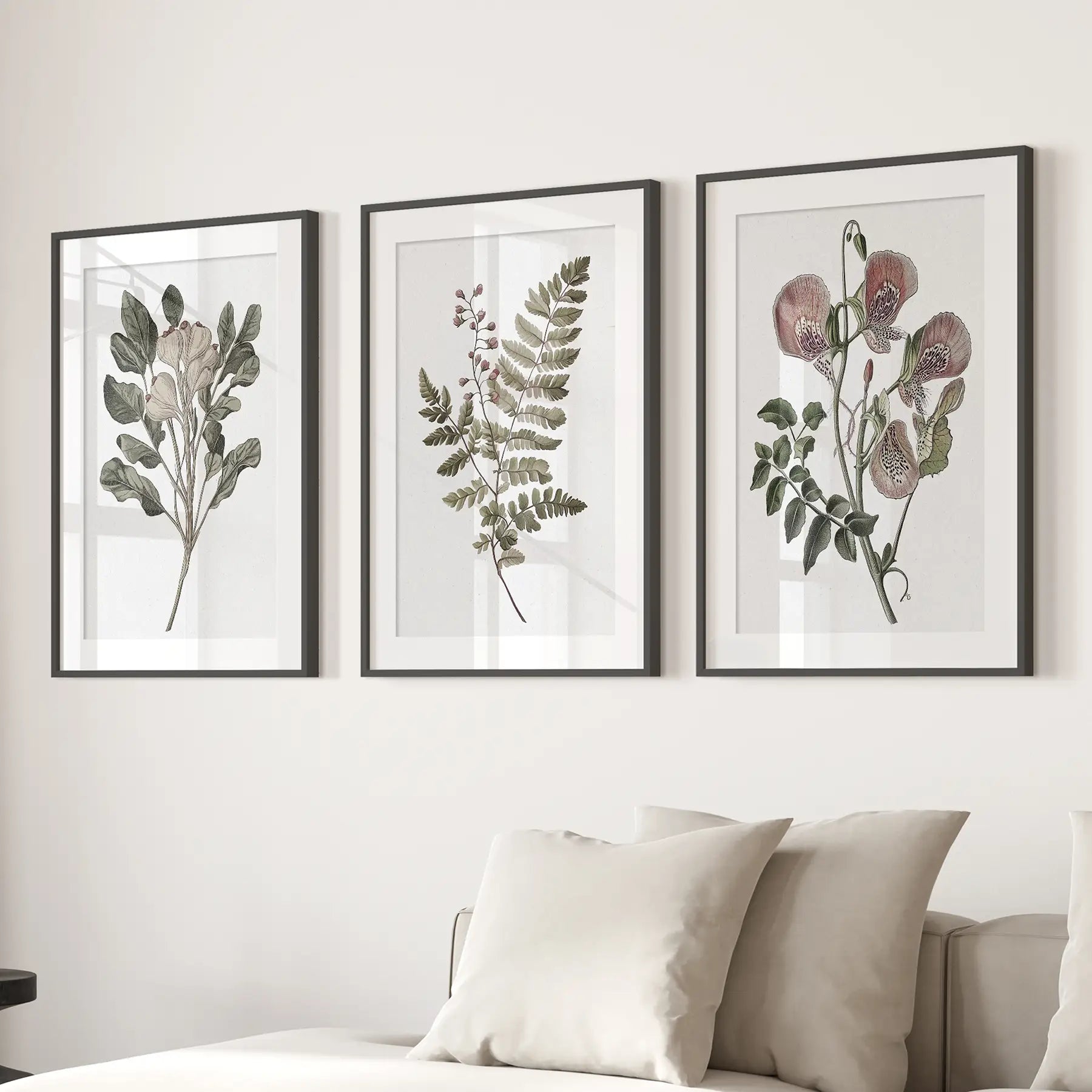Floral Plant Vintage Decor. Botanical Neutral Art