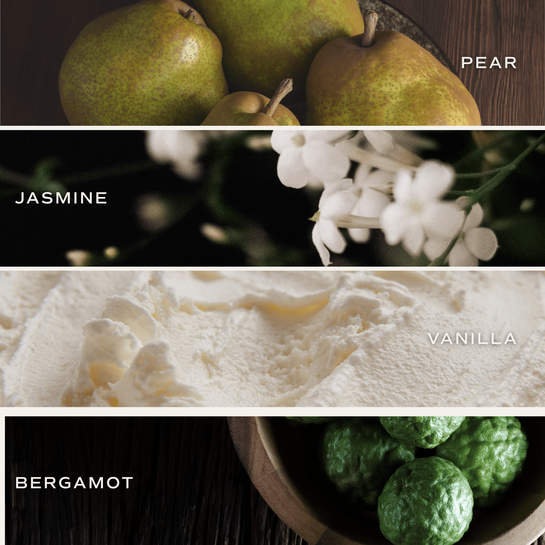 Cashmere and Vanilla Soy Candle - Tinted Glass Jar - 12 oz