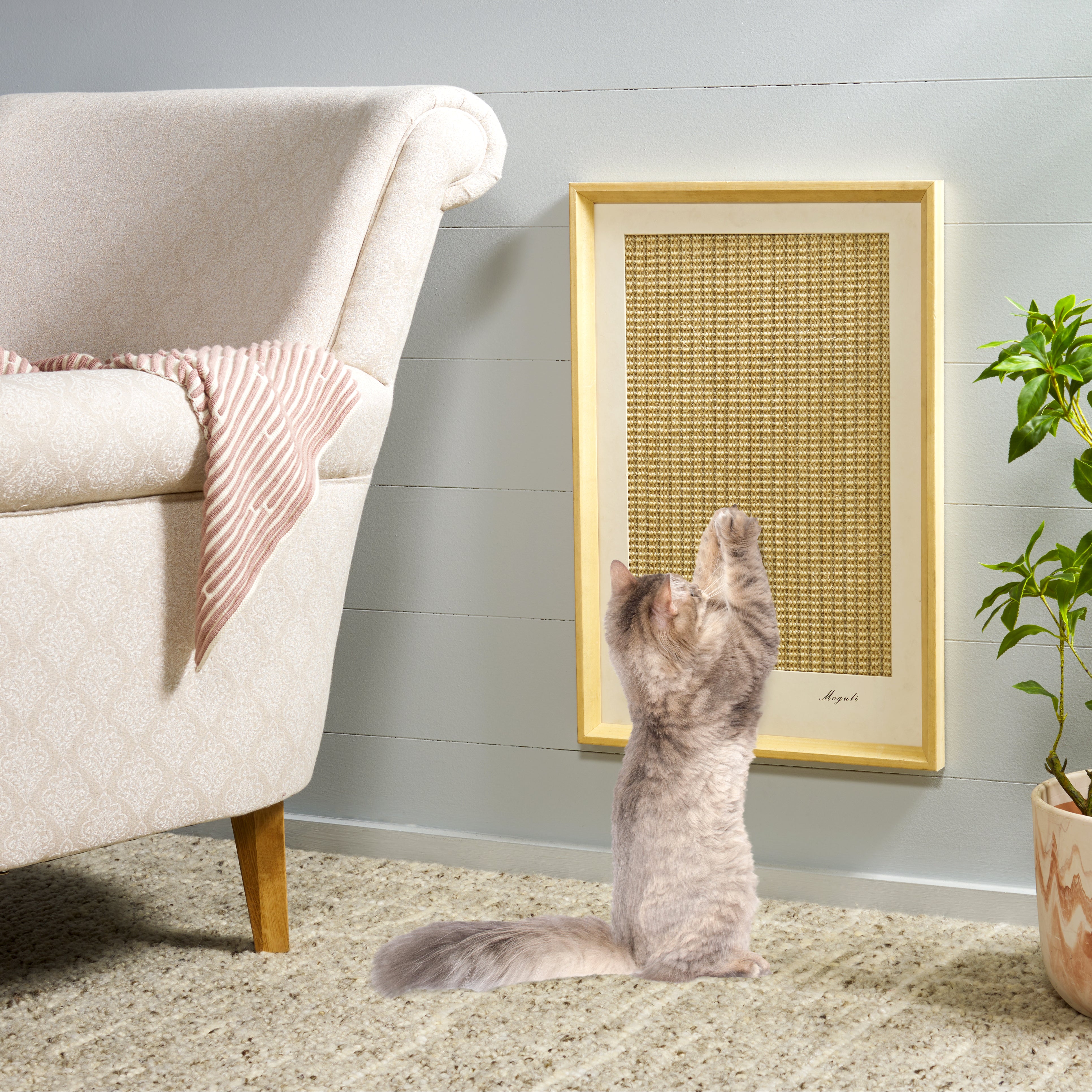 CAT SCRATCH FRAME 573 SISAL NATURAL IVORY / W17" X L1'' X H25"