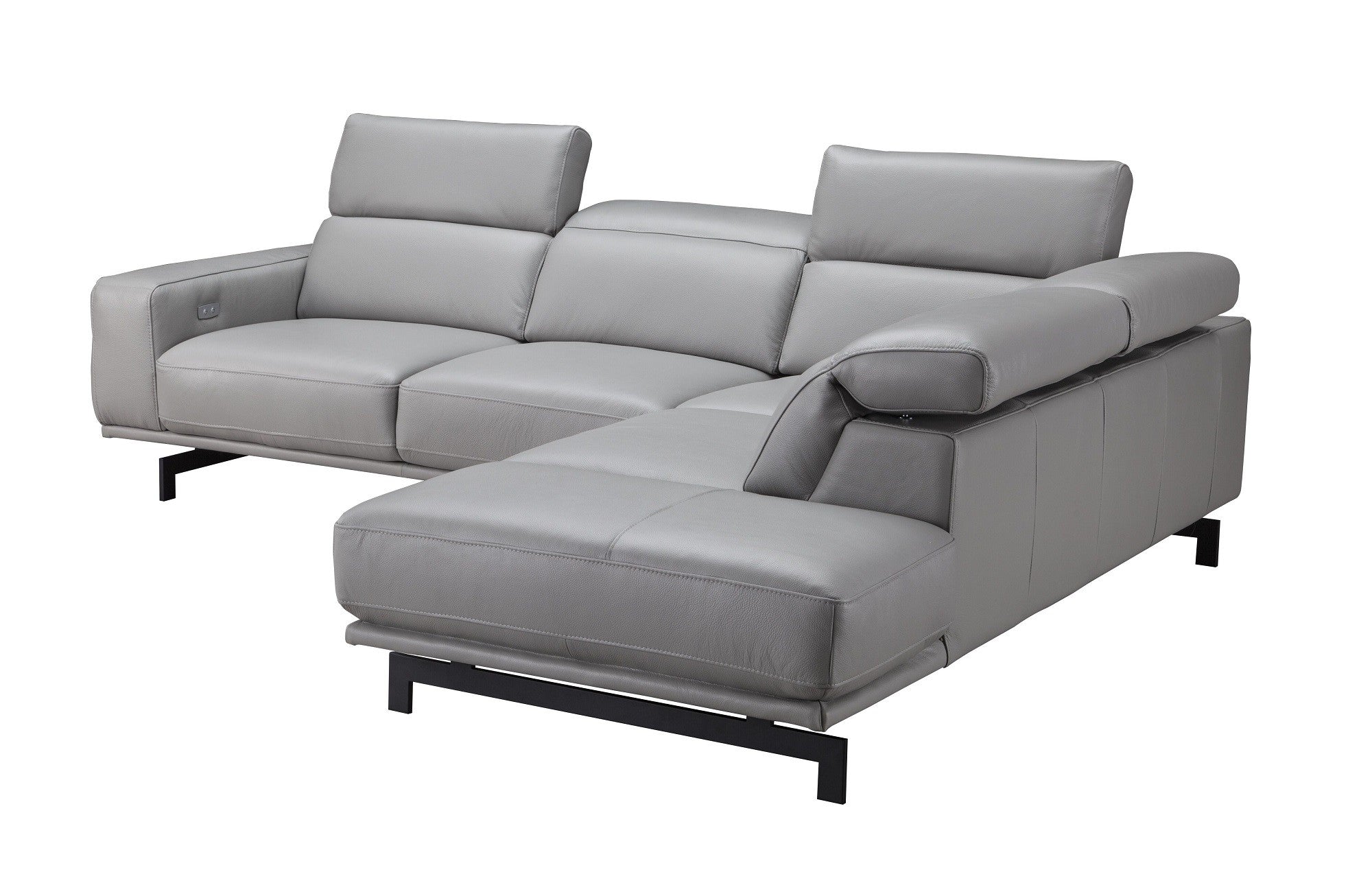 Davenport Leather Sectional J&M
