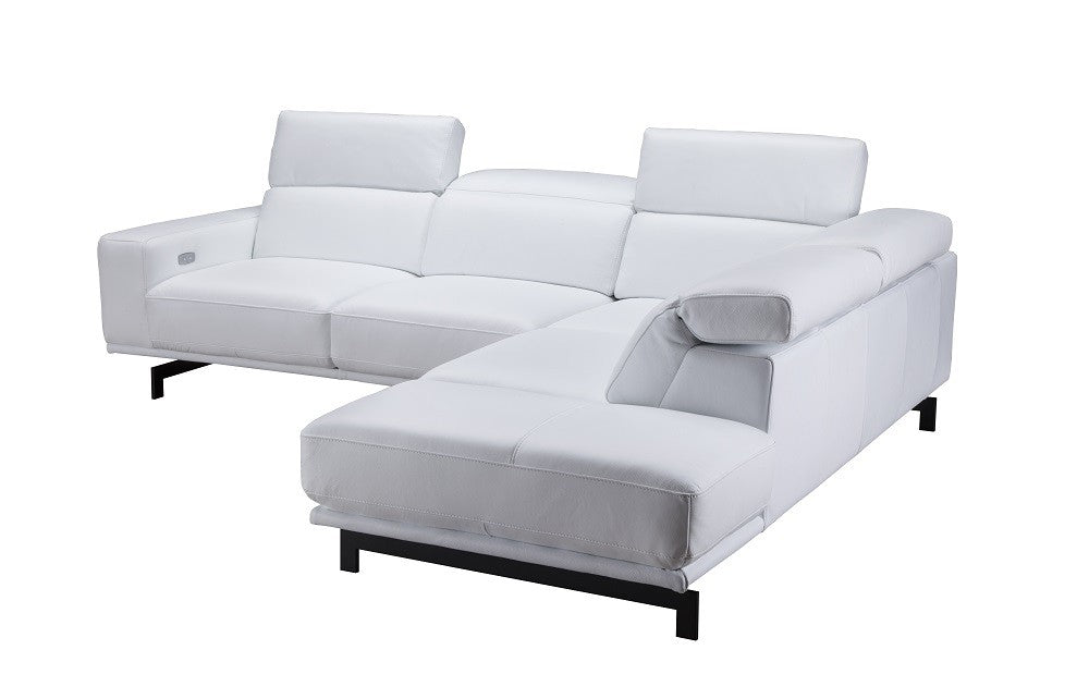 Davenport Leather Sectional J&M