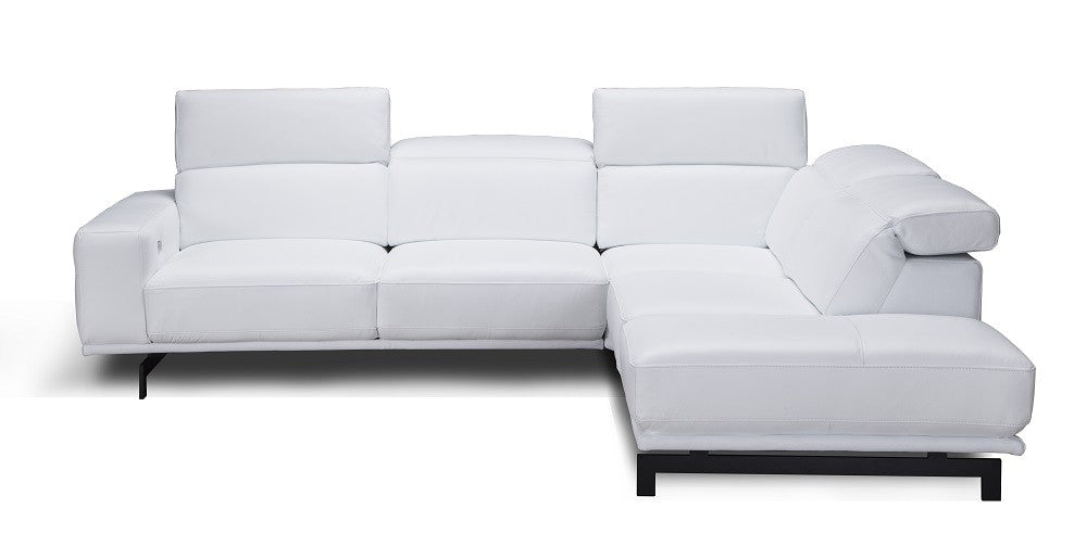 Davenport Leather Sectional J&M
