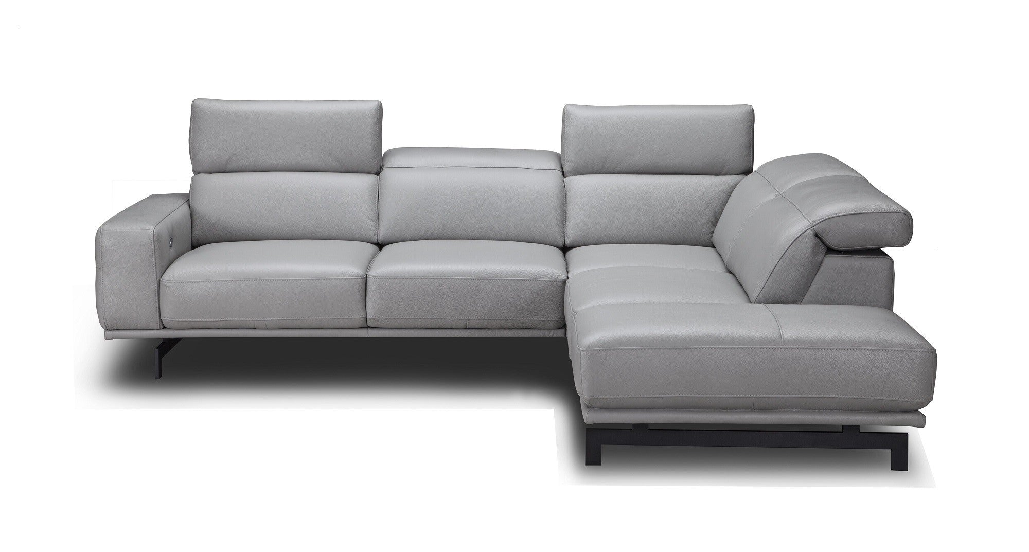 Davenport Leather Sectional J&M