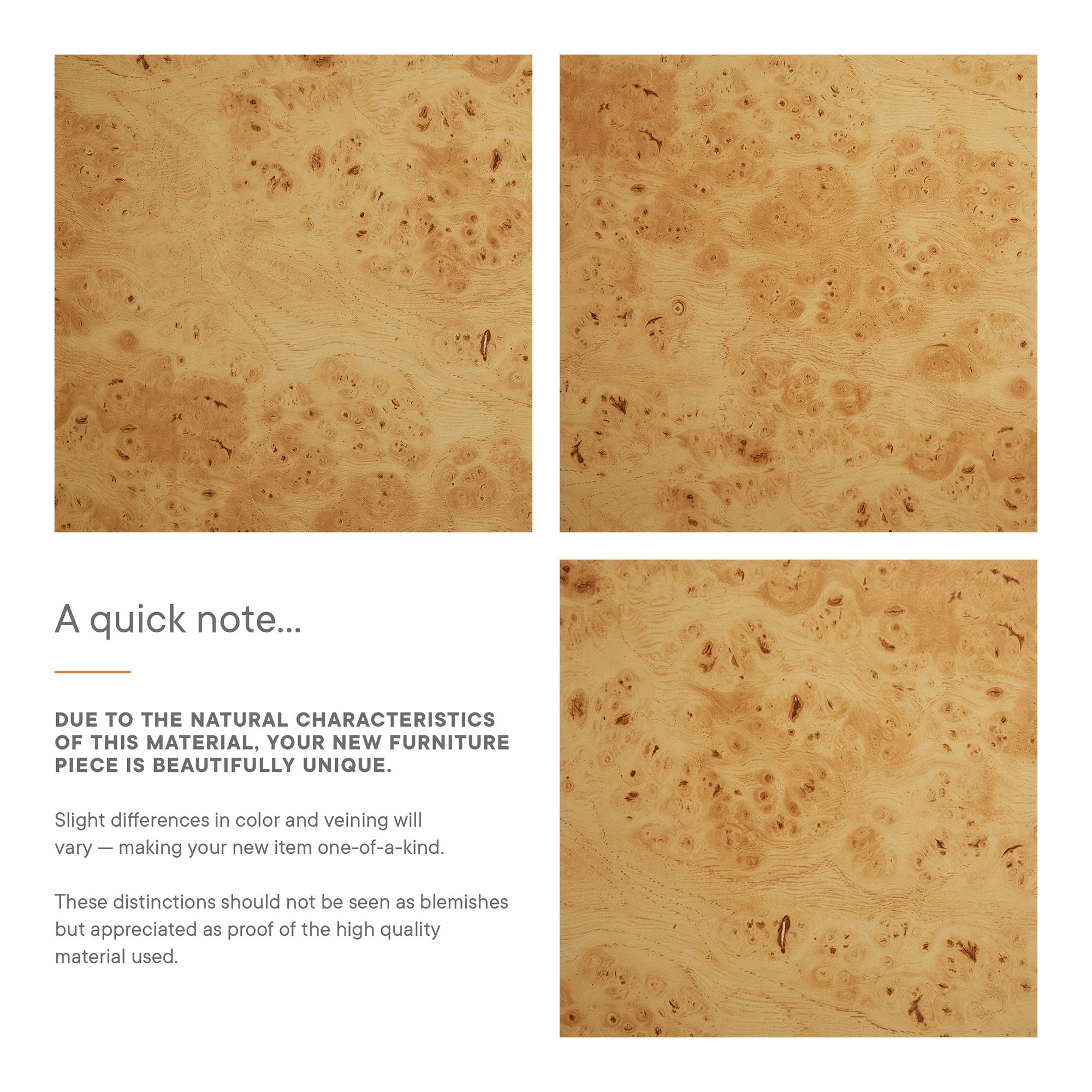 Hudson 60" Burl Wood Sideboard by Modway