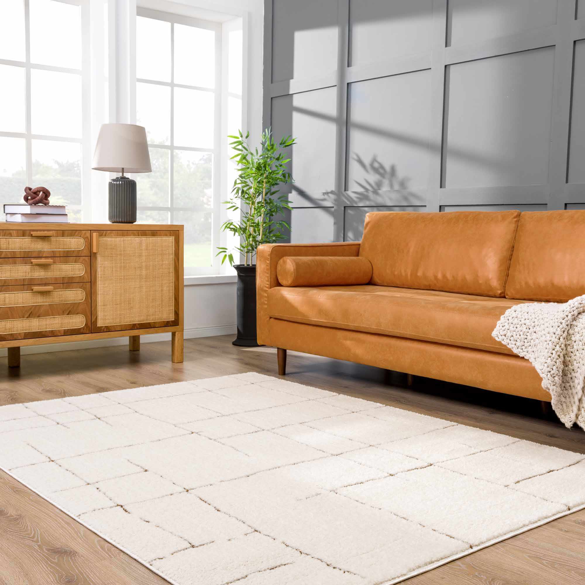 Koume Ivory & Brown Area Rug