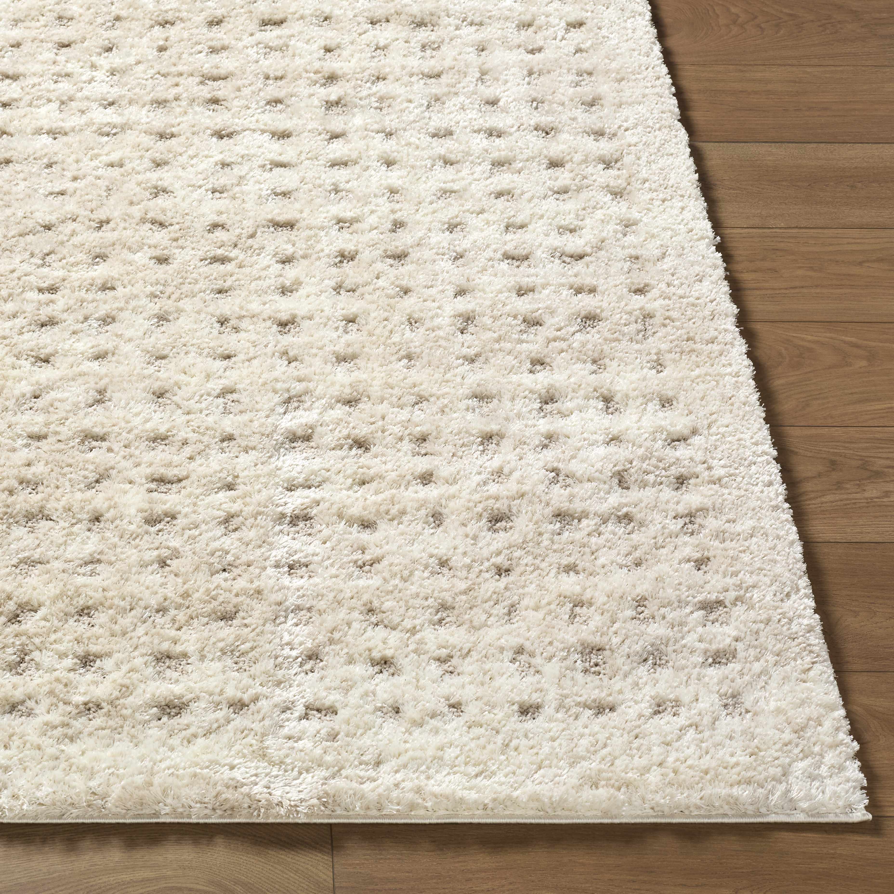 Armand Luxe Shag Rug