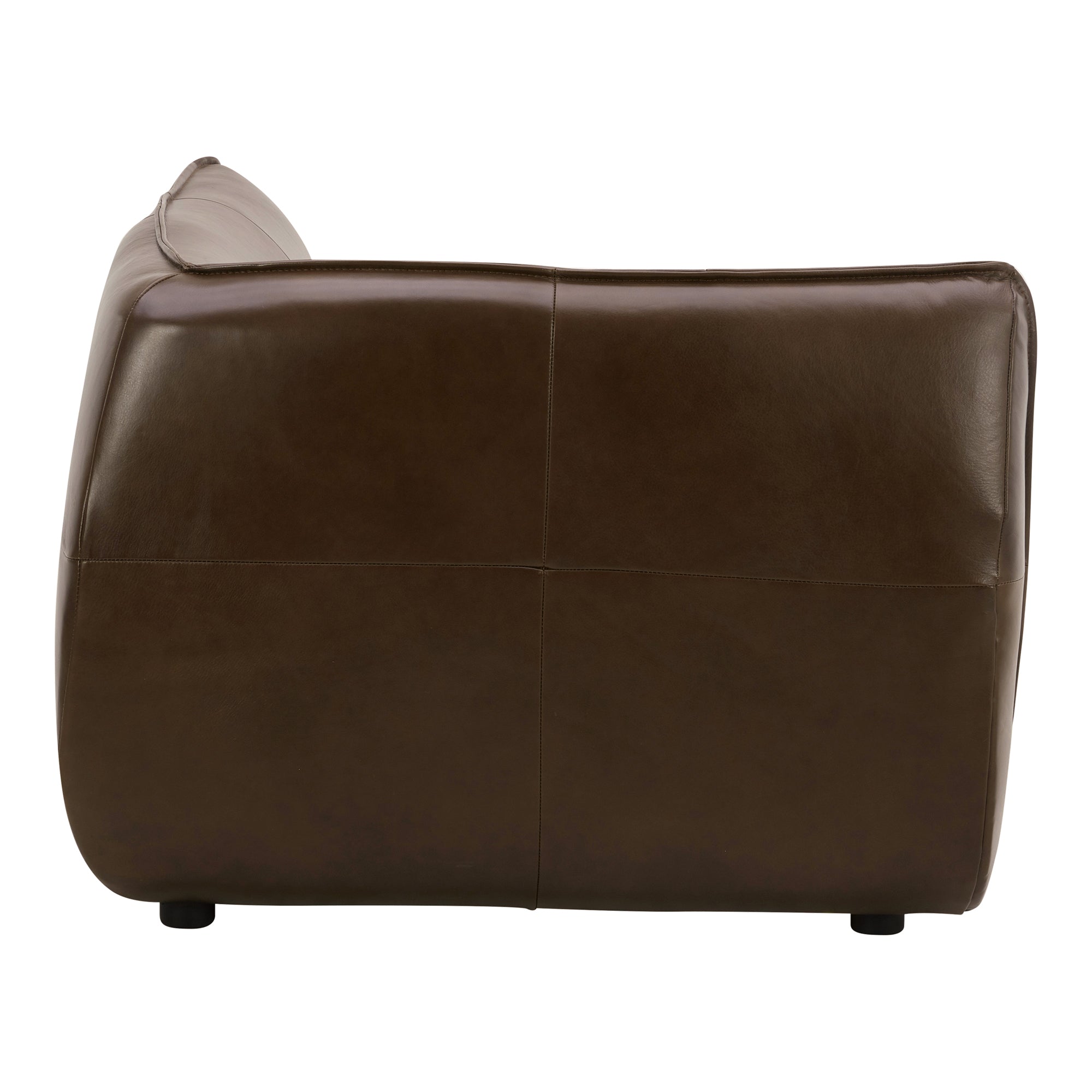 Zeppelin Leather Corner Chair Toasted Hickory - Moes Home