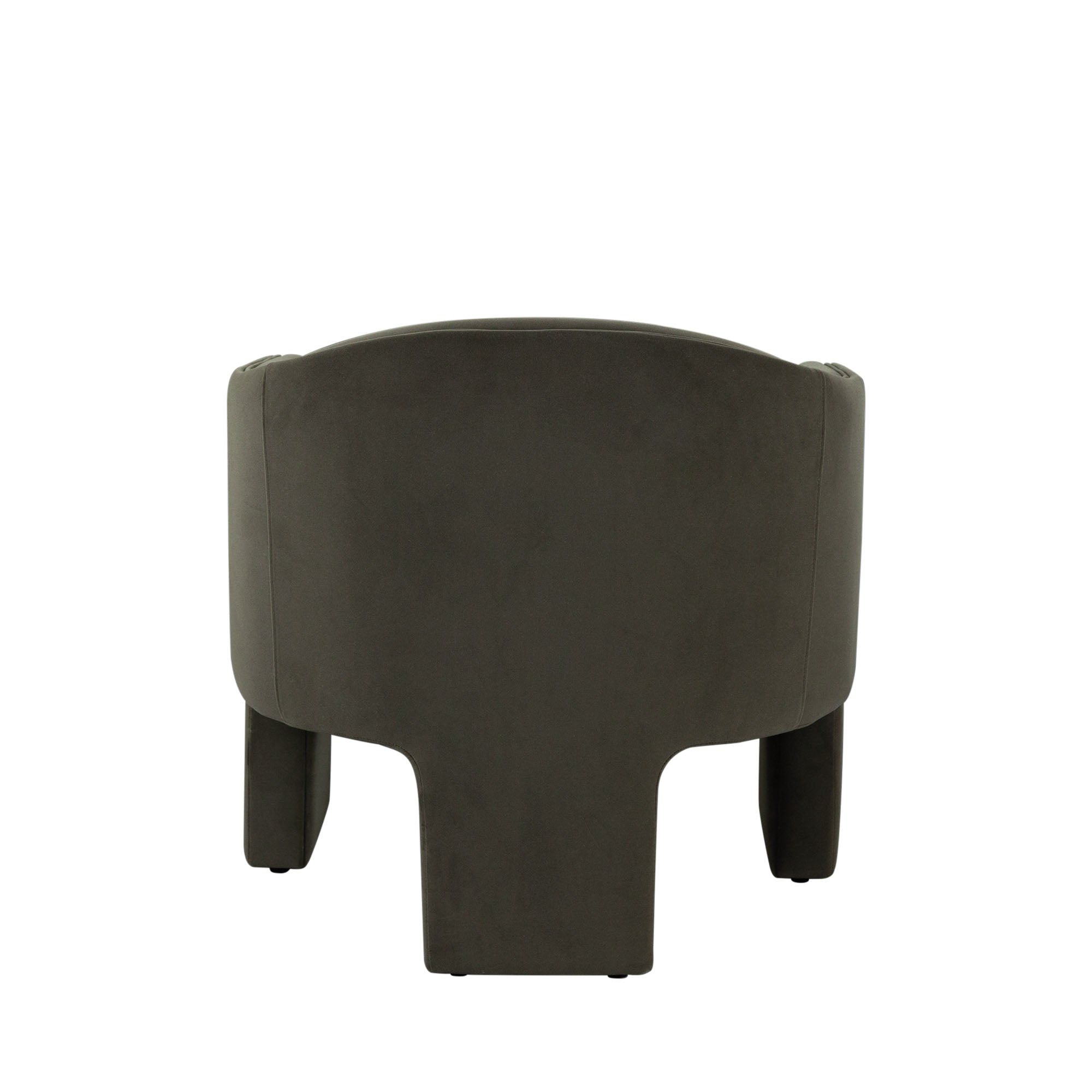 Leyah Accent Chair in Winter Moss Performance Velvet by Diamond Sofa