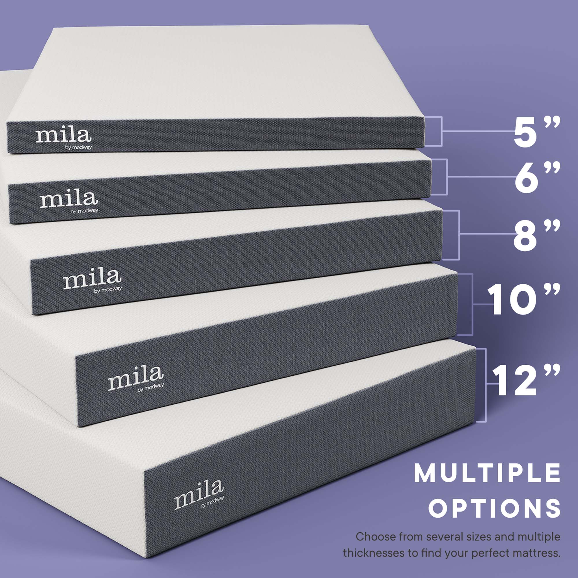 Mila 6" Twin Mattress by Modway