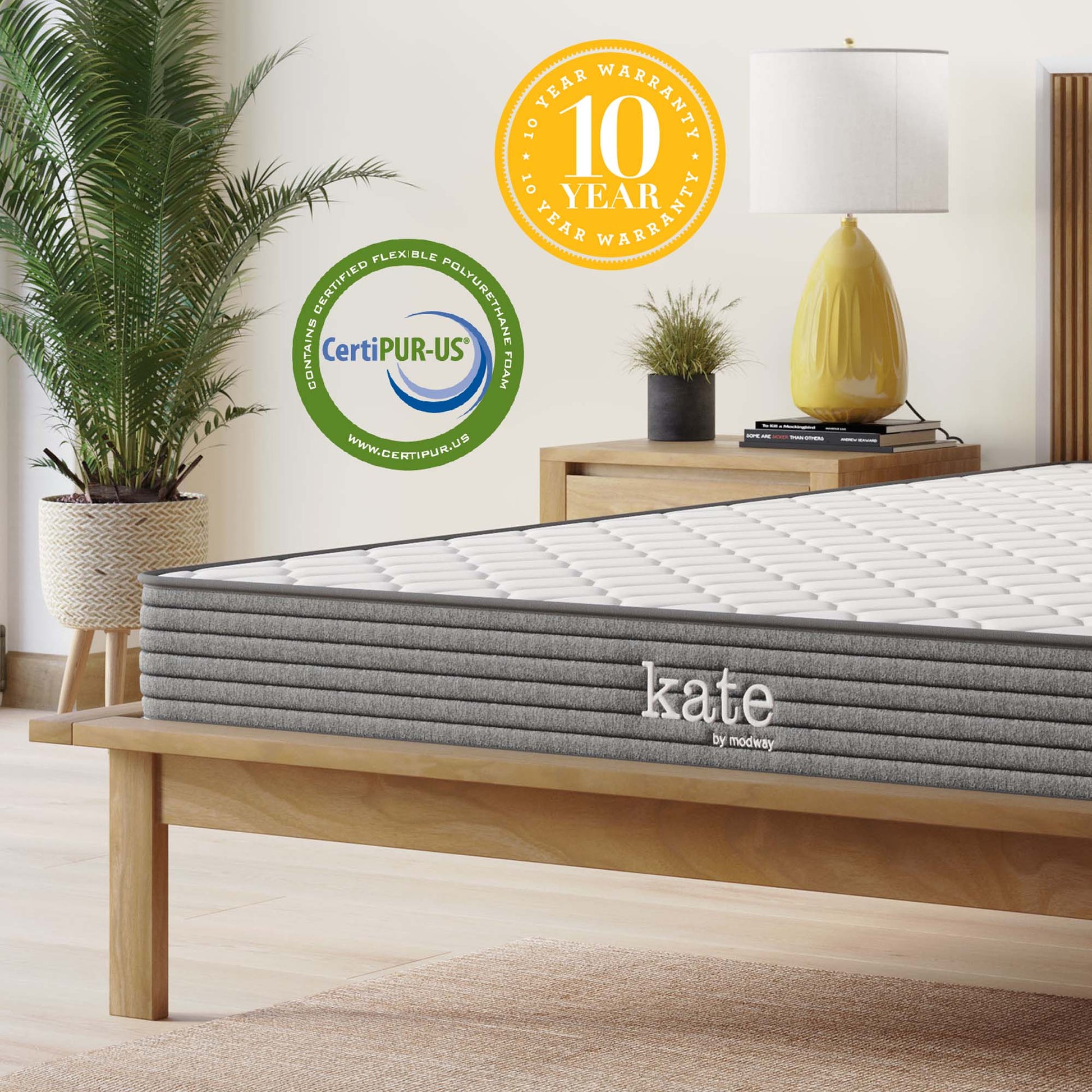 Kate 6" Queen Mattress by Modway - Best Buy Furniture