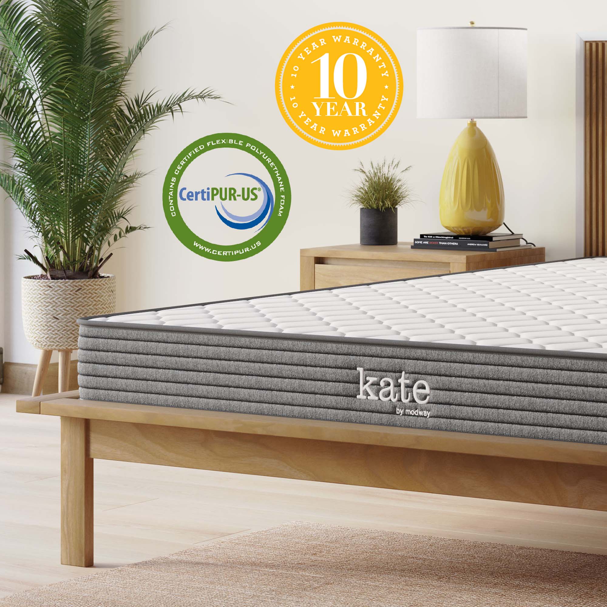 Kate 6" King Mattress by Modway - Best Buy Furniture