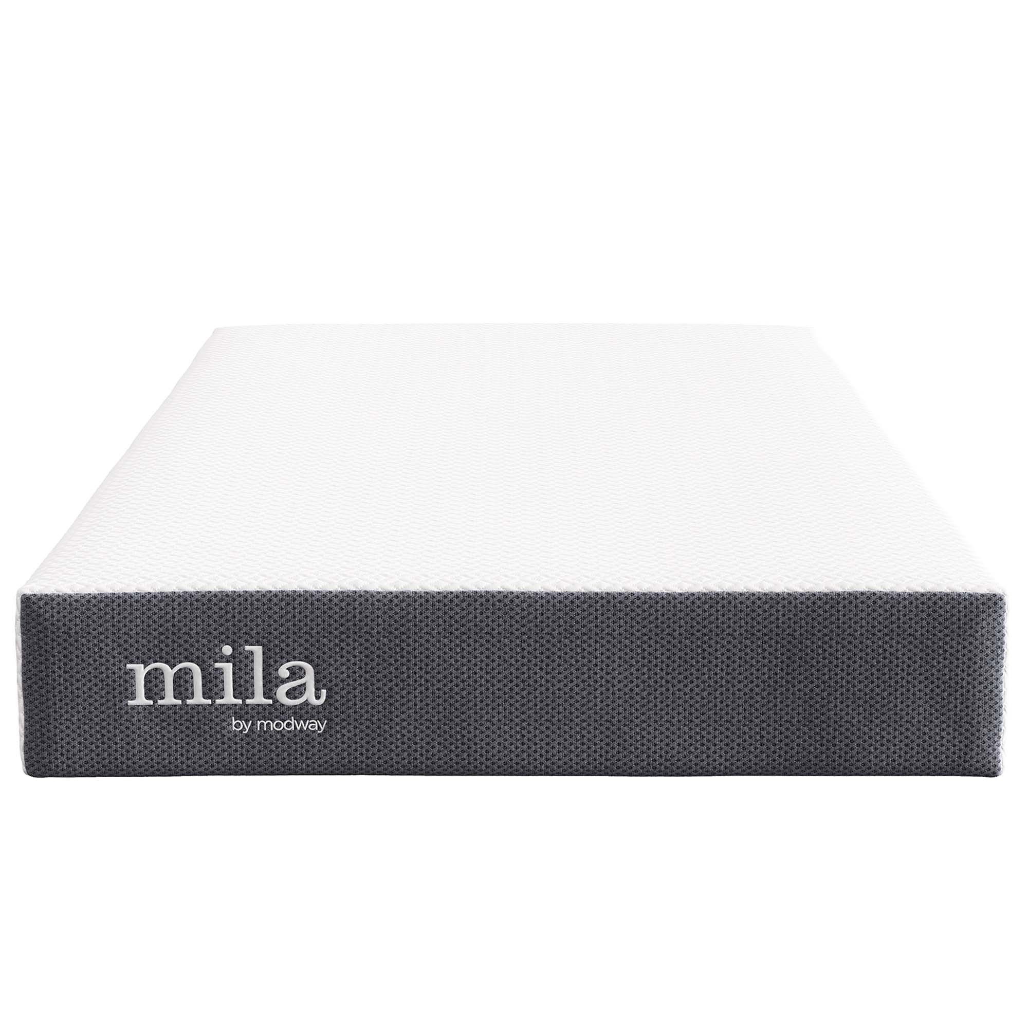 Mila 8" Twin Mattress by Modway - Best Buy Furniture