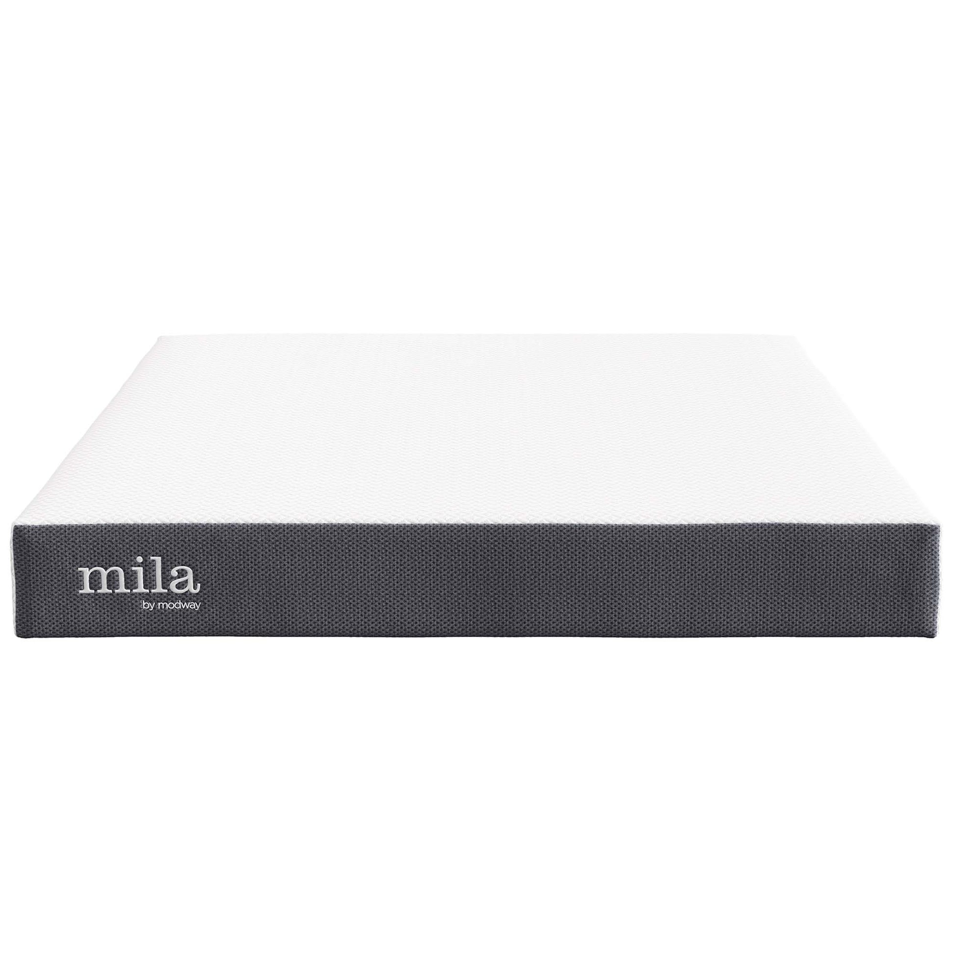 Mila 8" Queen Mattress by Modway - Best Buy Furniture