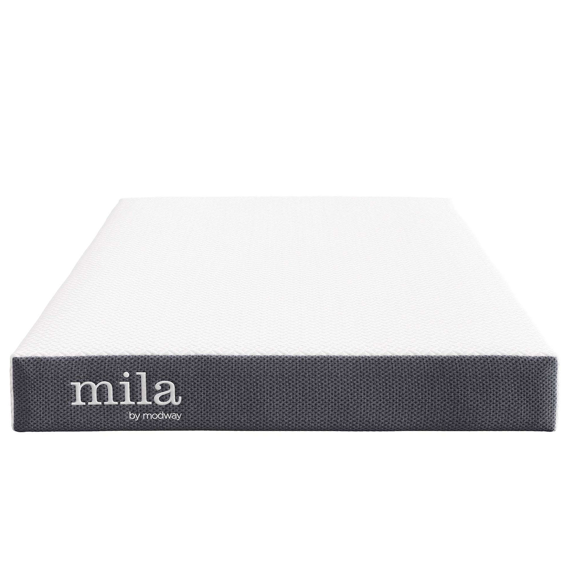 Mila 5" Twin Mattress by Modway - Best Buy Furniture