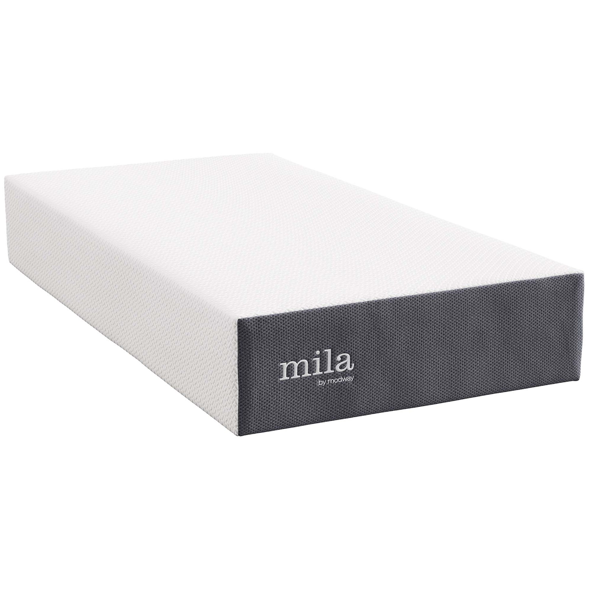 Mila 12" Twin Mattress by Modway - Best Buy Furniture