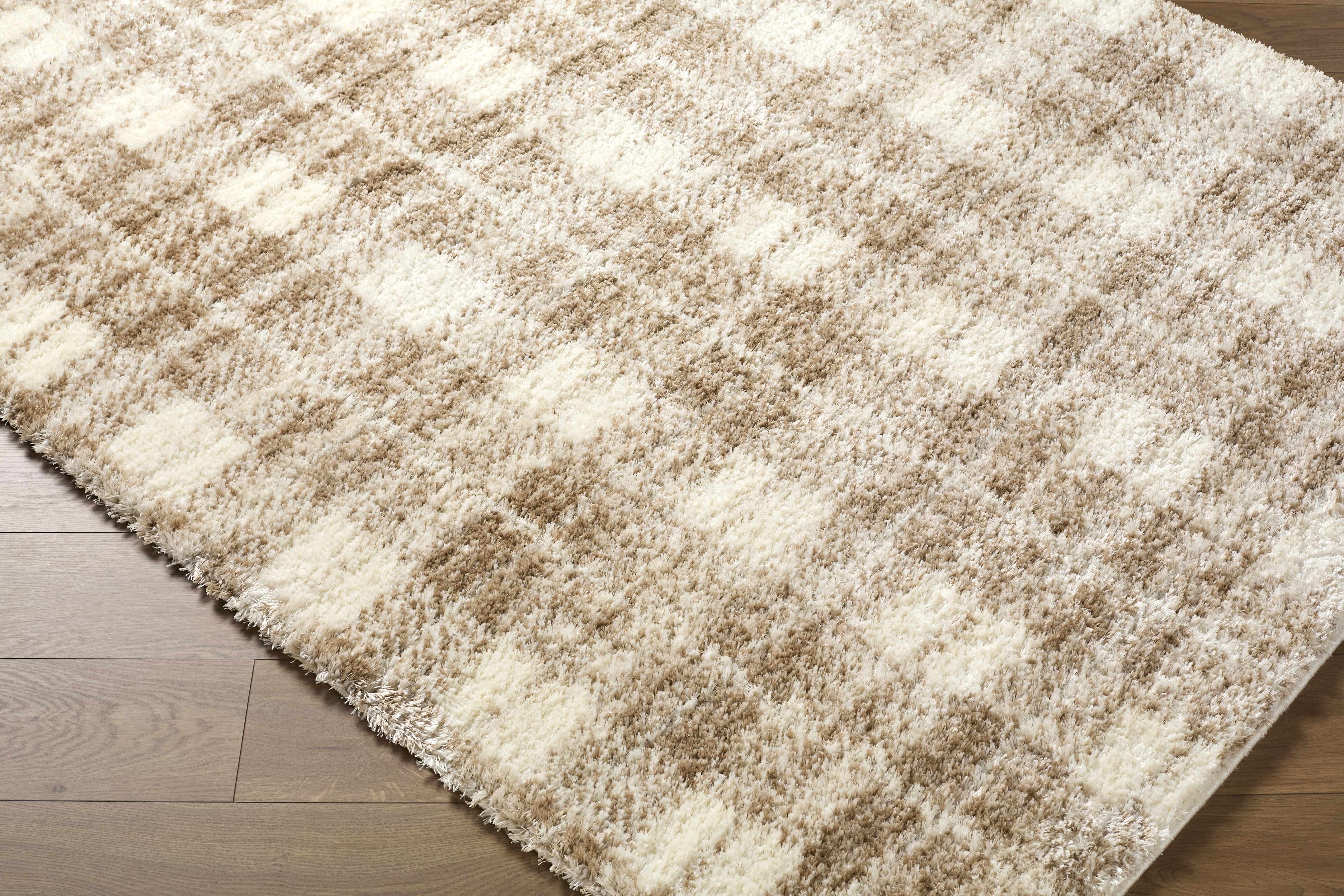 Anfisa Beige Luxe Shag Area Rug