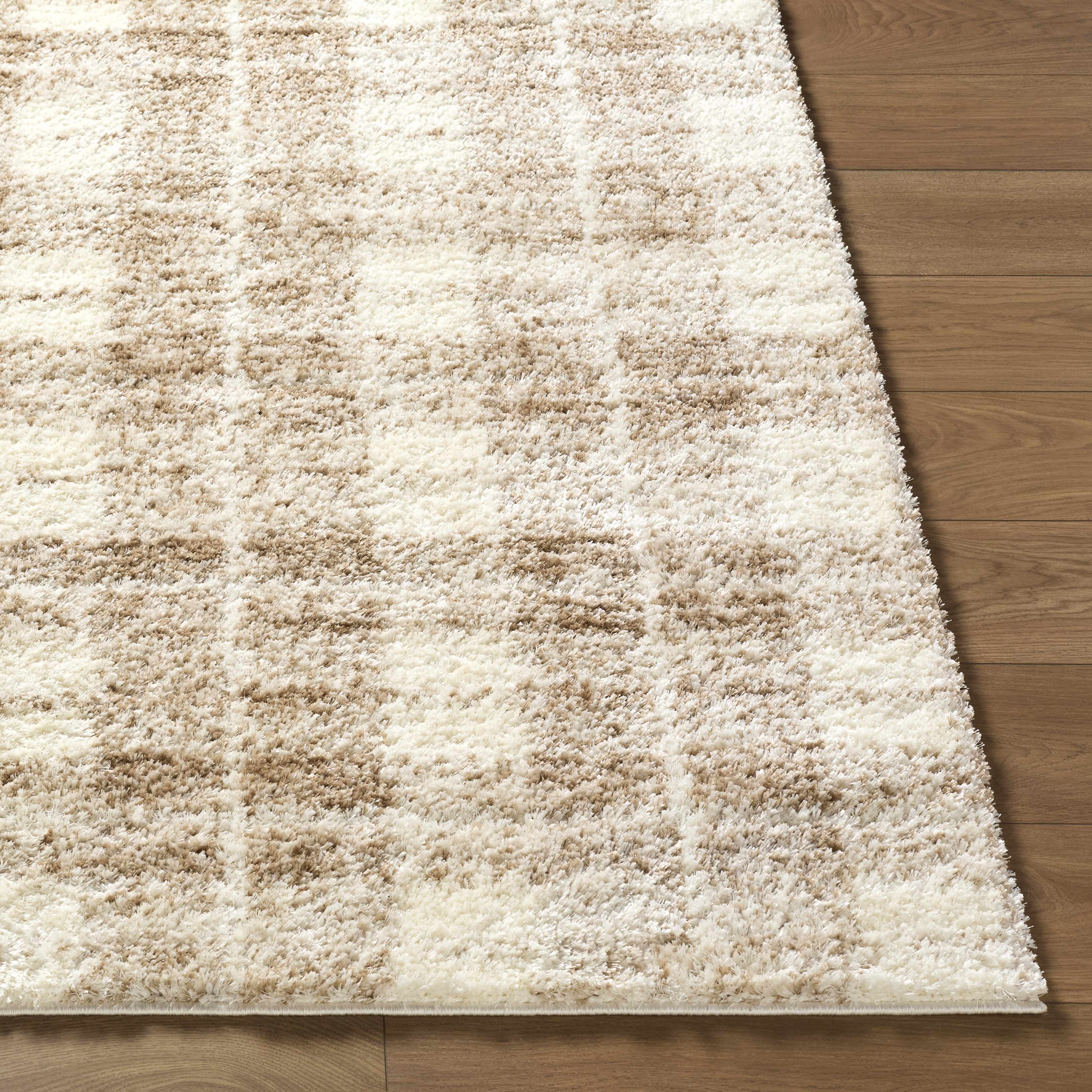 Anfisa Beige Luxe Shag Area Rug