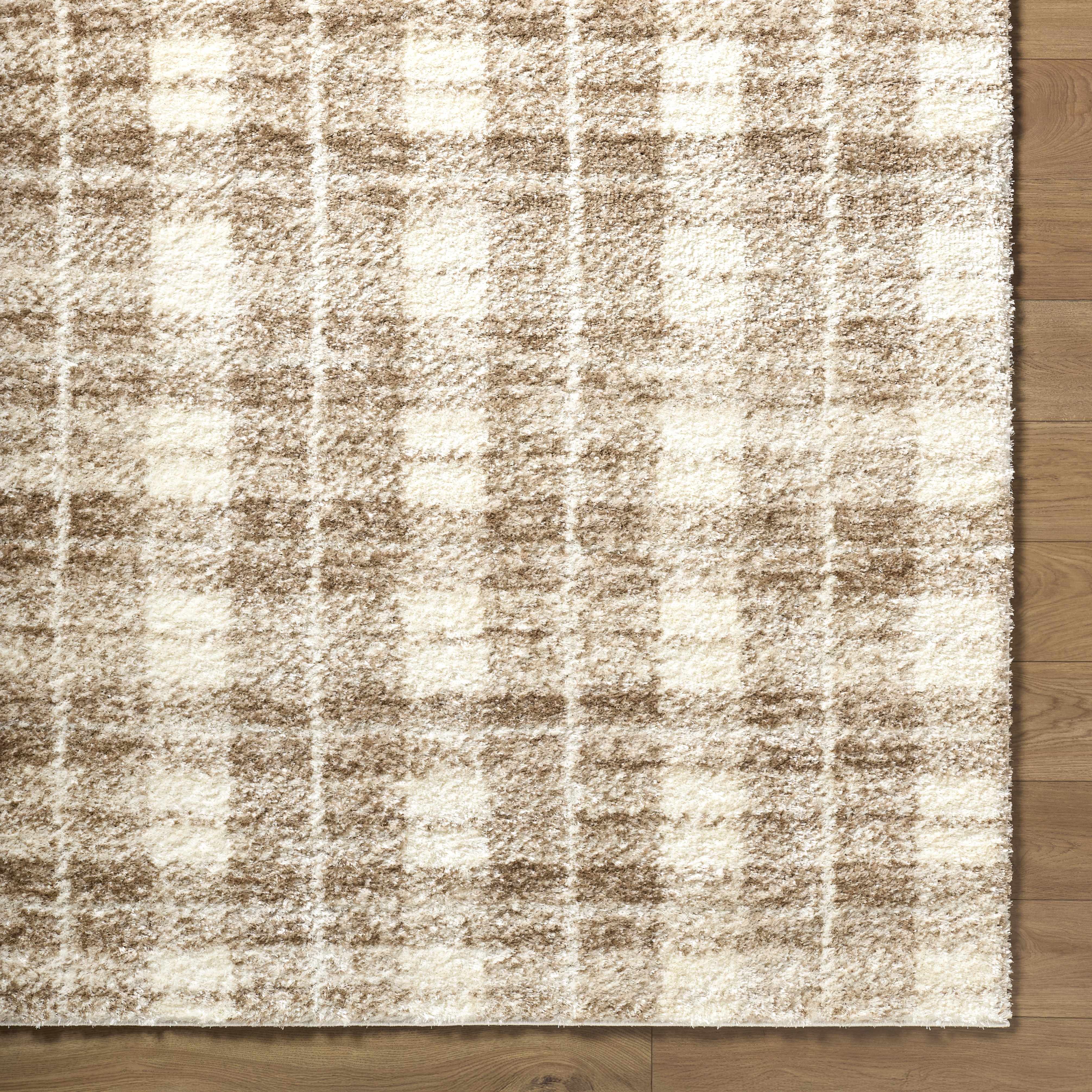 Anfisa Beige Luxe Shag Area Rug