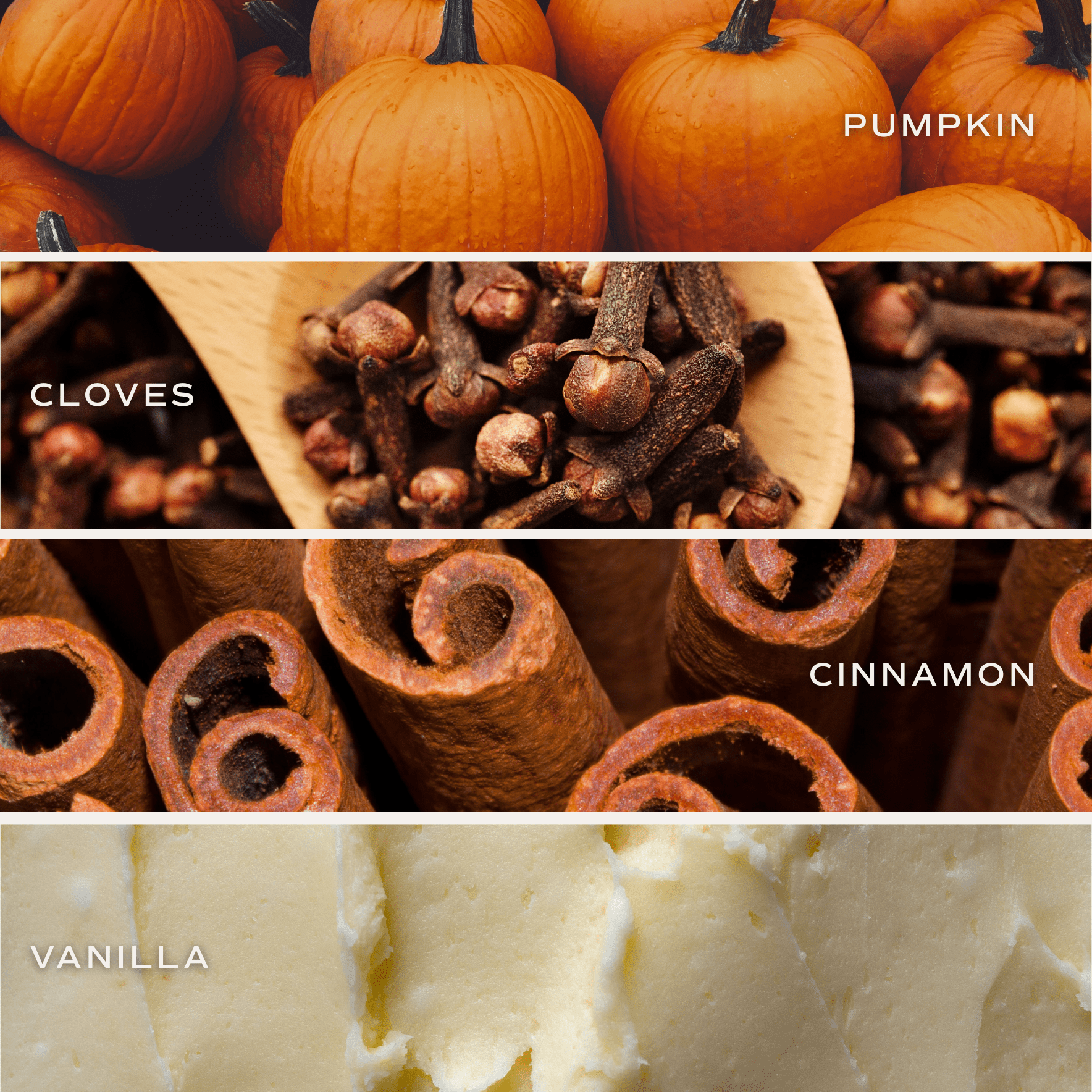 Pumpkin Spice Soy Candle 9oz Clear Jar