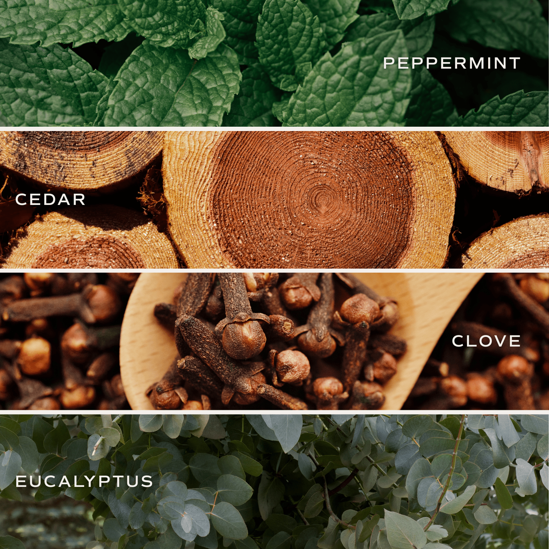 Relaxation Soy Candle - Amber Jar - 9 oz