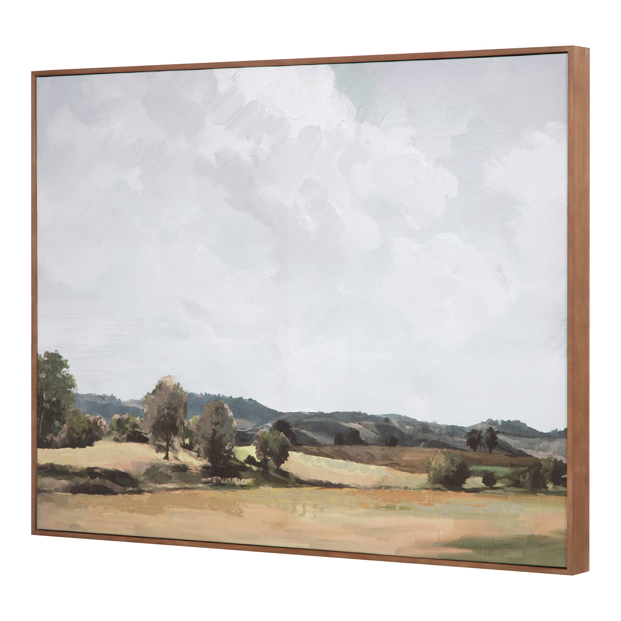Vast Country Framed Painting - Moes Home