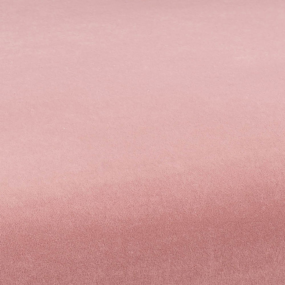 Kim - Performance Velvet Chair