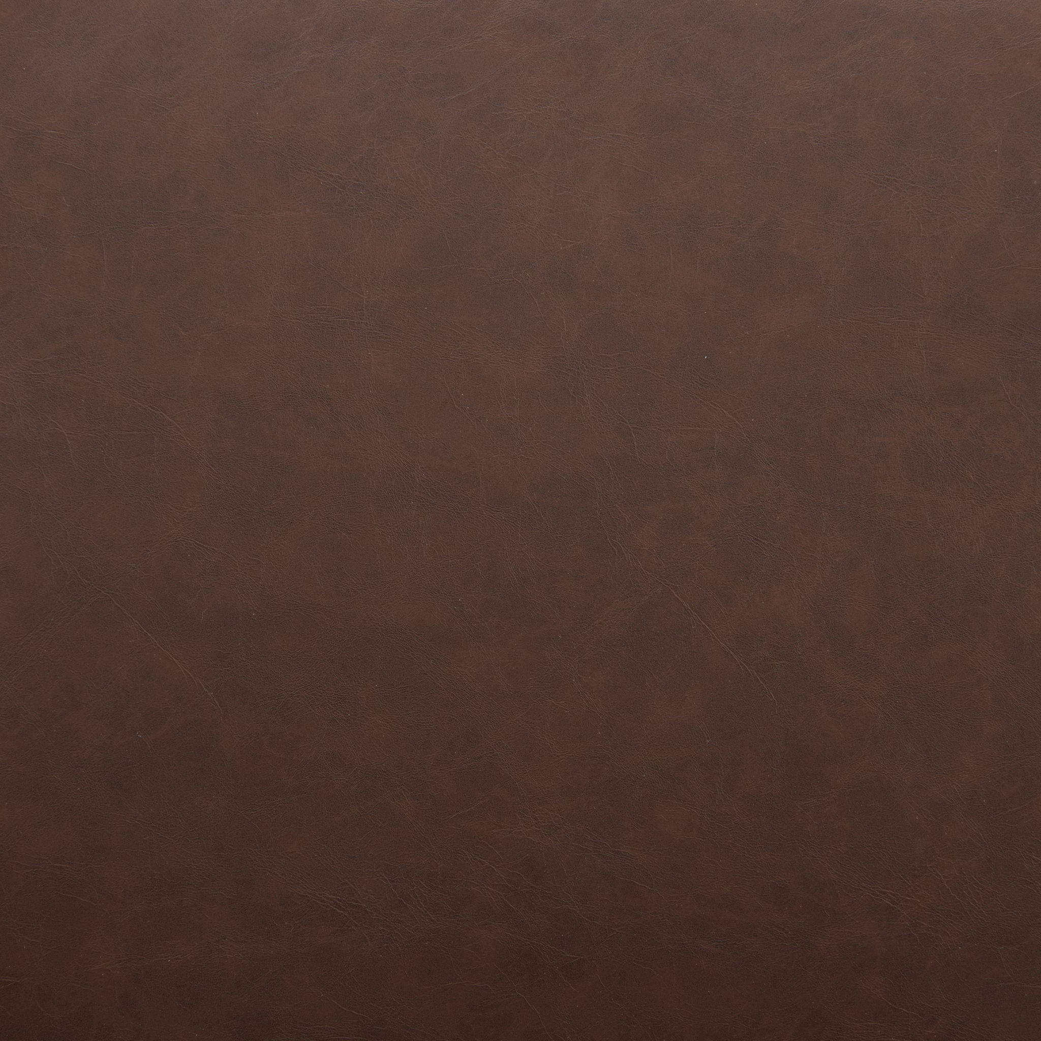 Pola - Dining Chair (Set of 2)