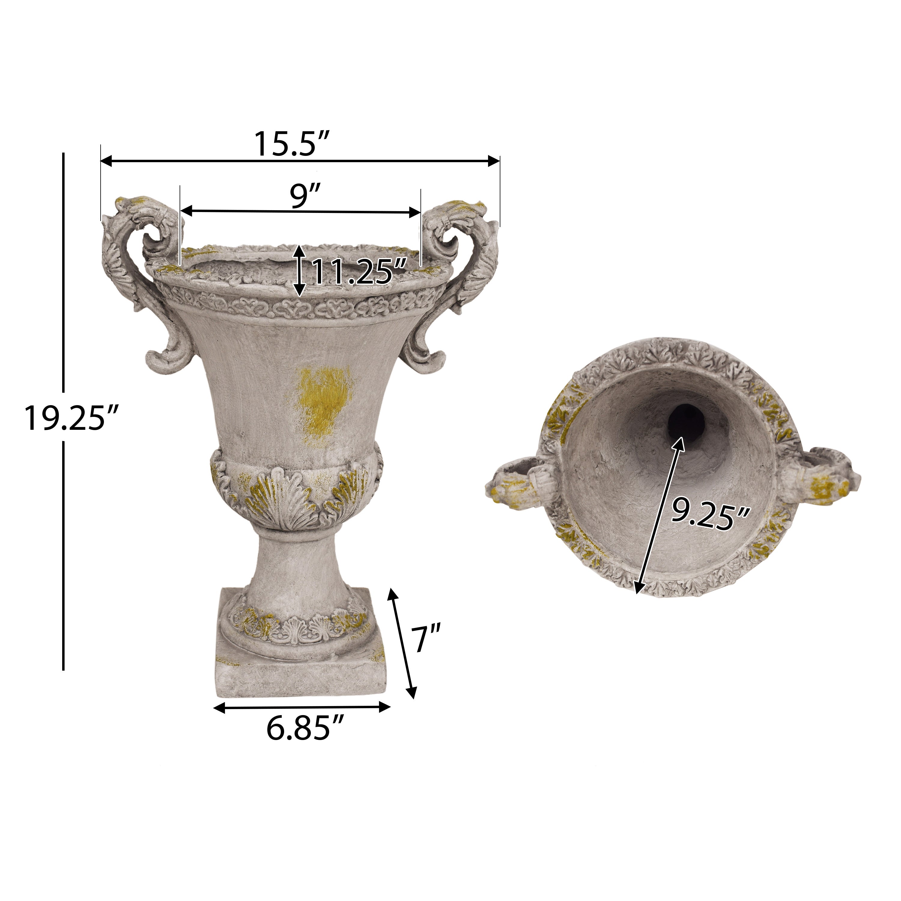 Delphine Urn