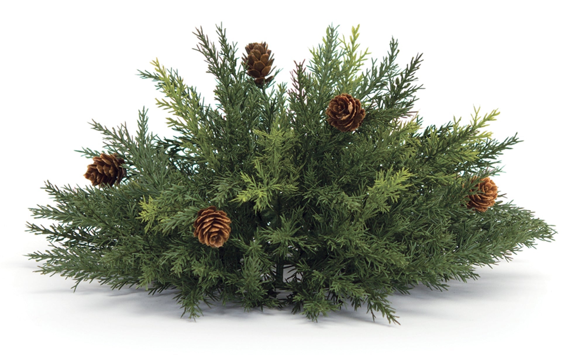 Arborvitae Half Orb 13"D - Tuesday Morning - Decorative Objects