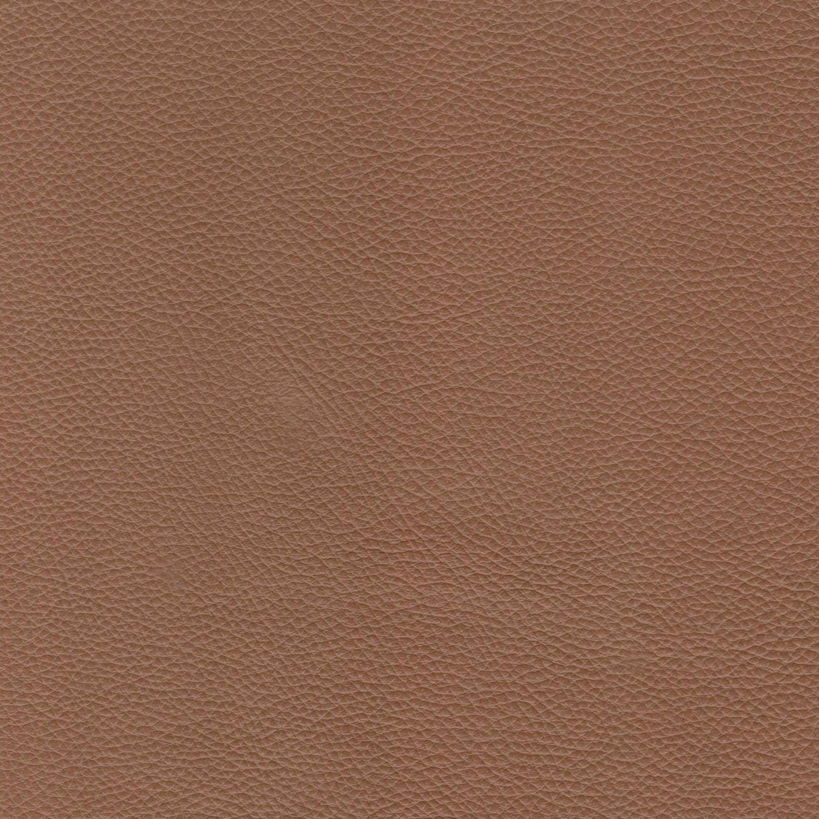 Modern Leather Sofa - Caramel - Best Buy Furniture