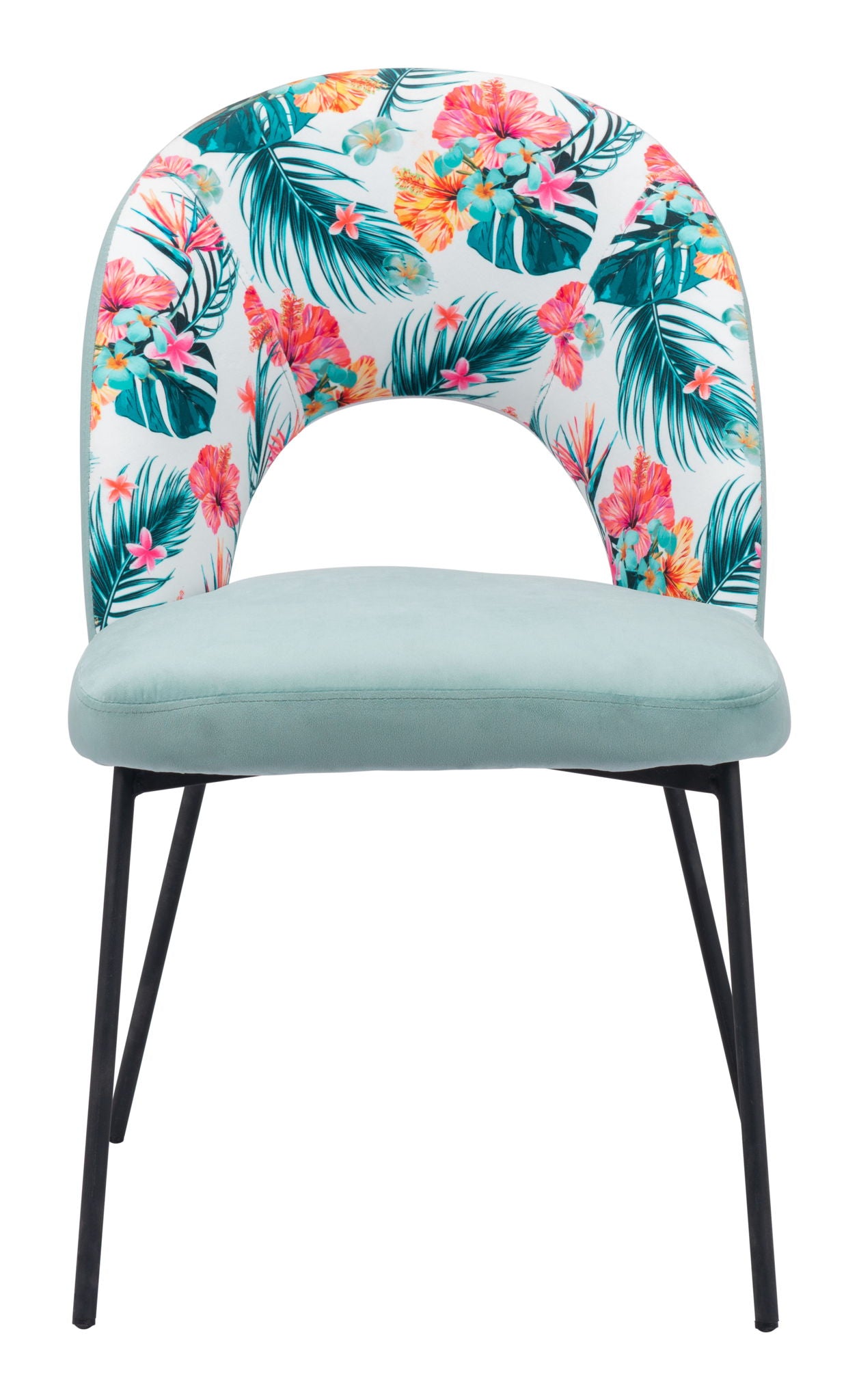 Bethpage - Dining Chair (Set of 2) - Multicolor Print & Green