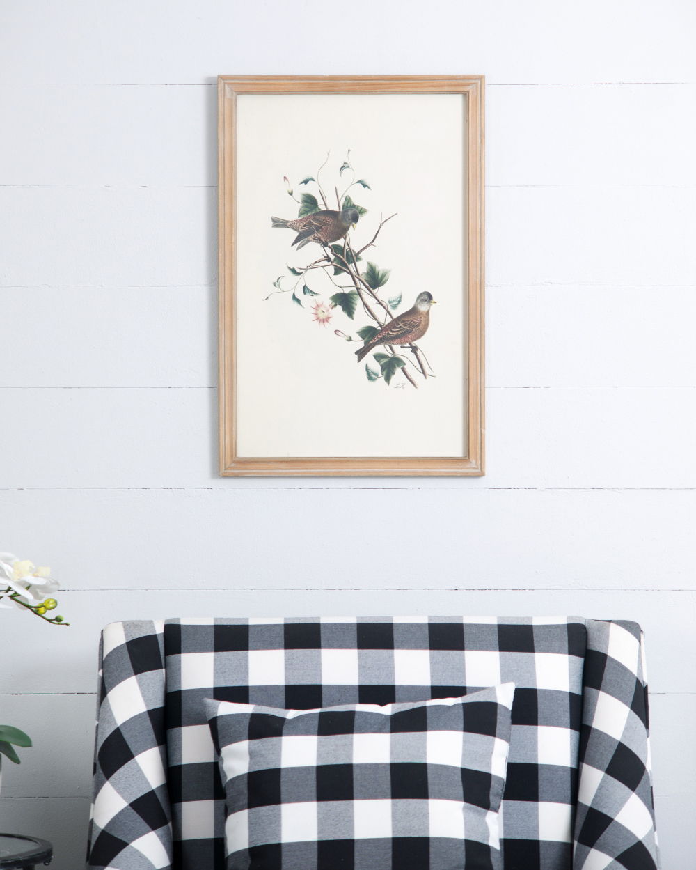 Bird Framed Print (Set of 4) - Multicolor