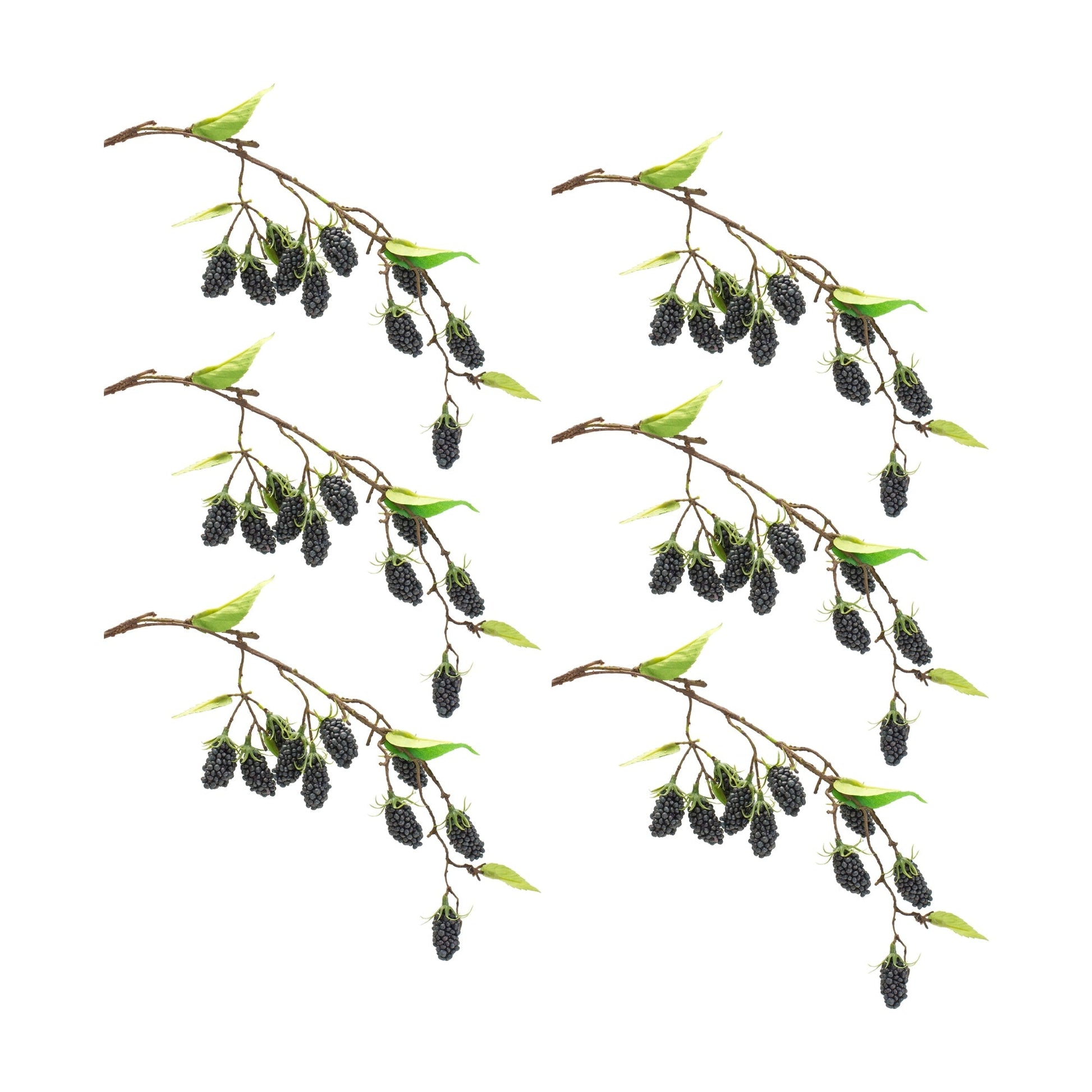 Blackberry-Twig-Vine-(Set-of-6)-Artificial-Non-Flowering-Plants