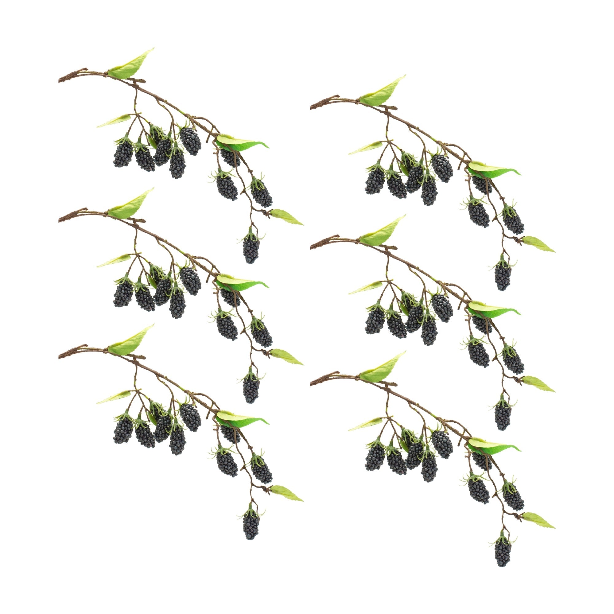 Blackberry-Twig-Vine-(Set-of-6)-Artificial-Non-Flowering-Plants