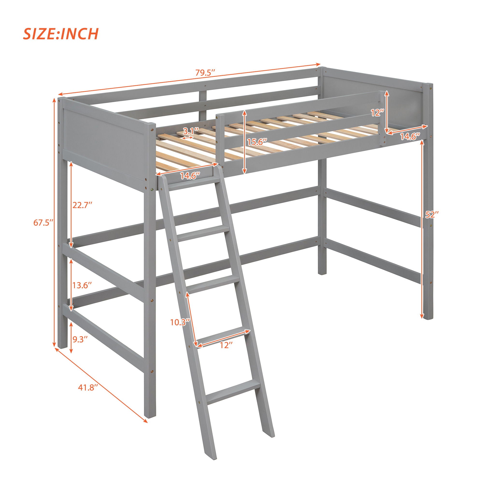 Loft Bed With Ladder