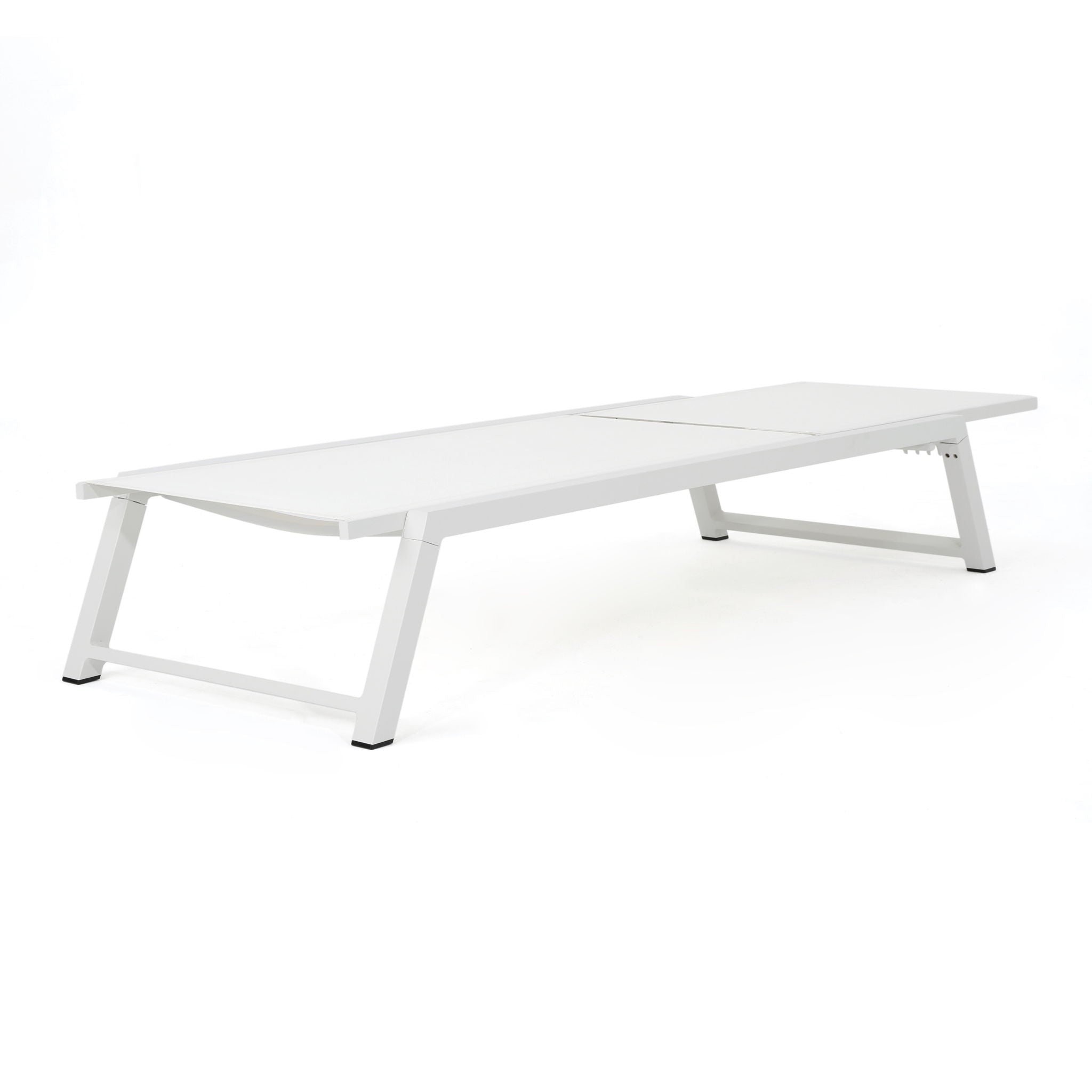 Myers - Modern Chaise Lounge Set With Adjustable Mesh Back