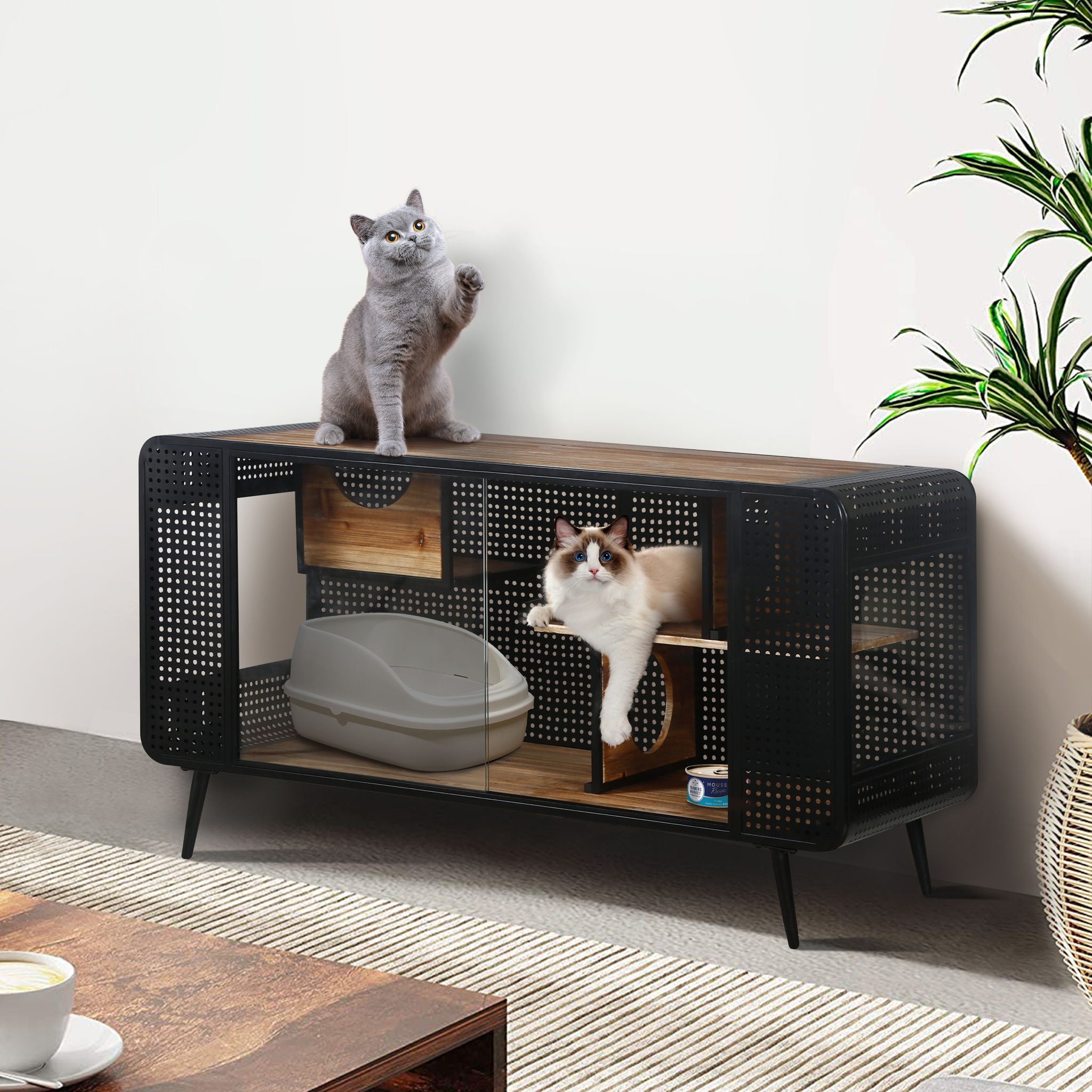 Cat House With Tempered Glass