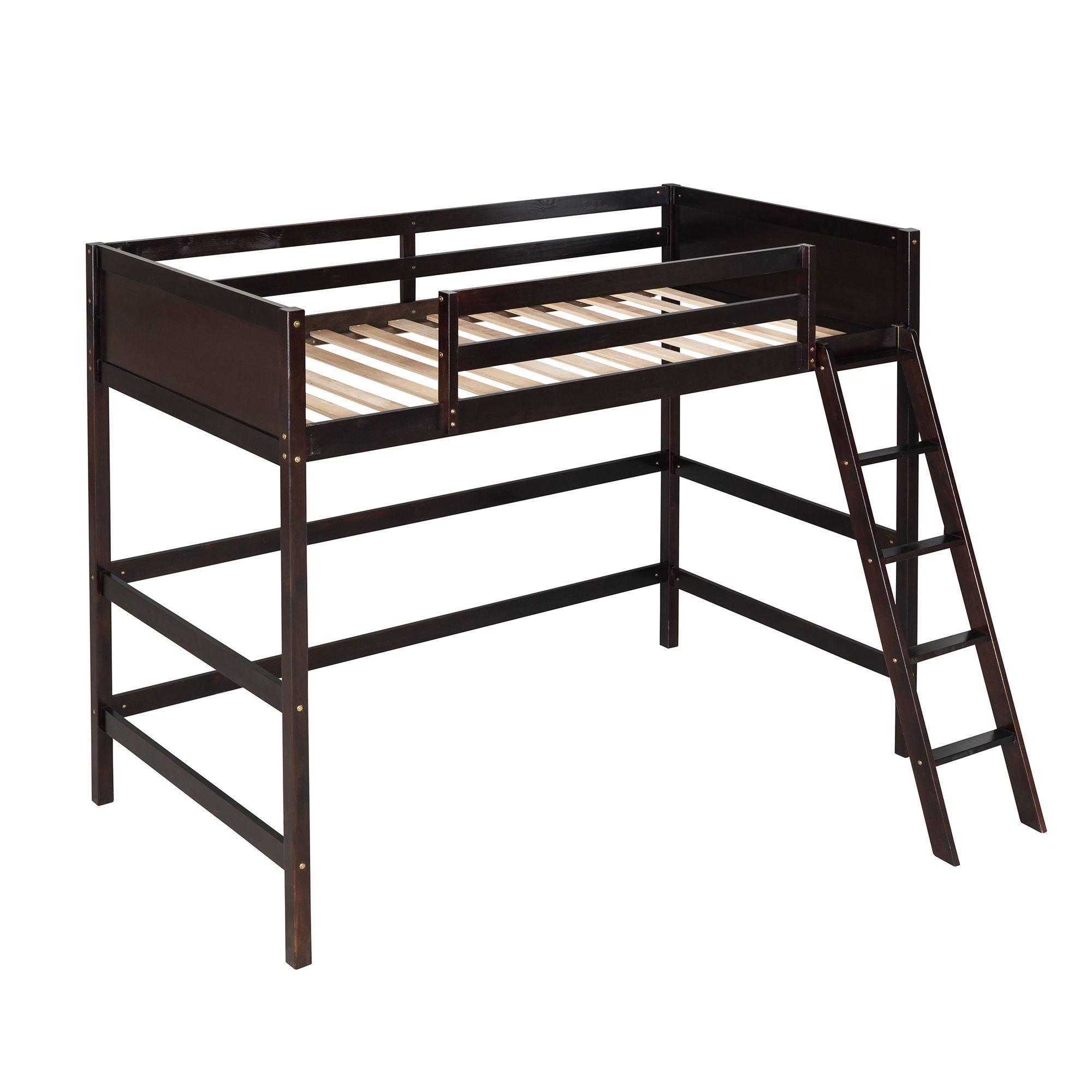 Loft Bed With Ladder