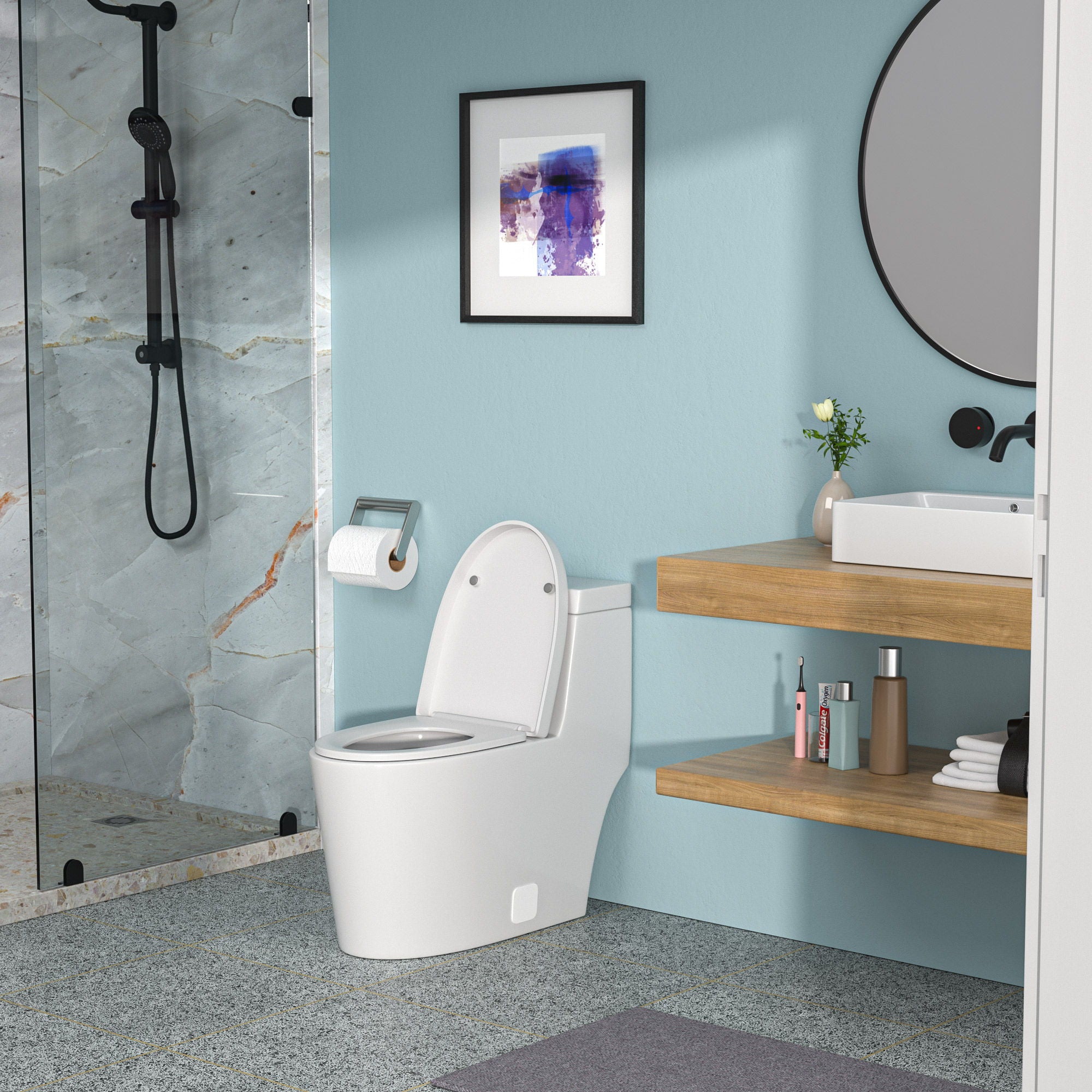1 Piece Toilet And Soft Closing Seat - White