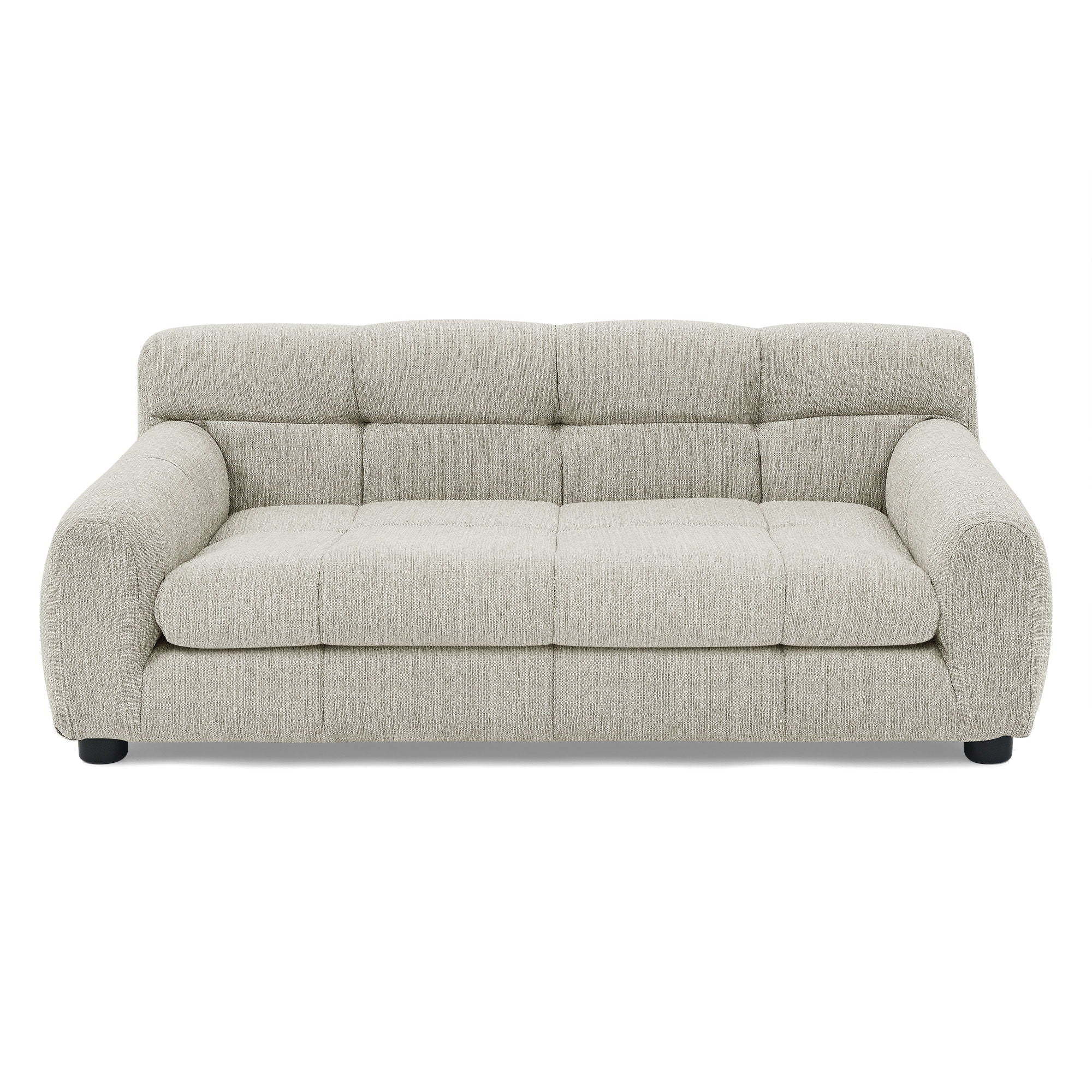 Modern Pet Sofa With Backrest And Armrests