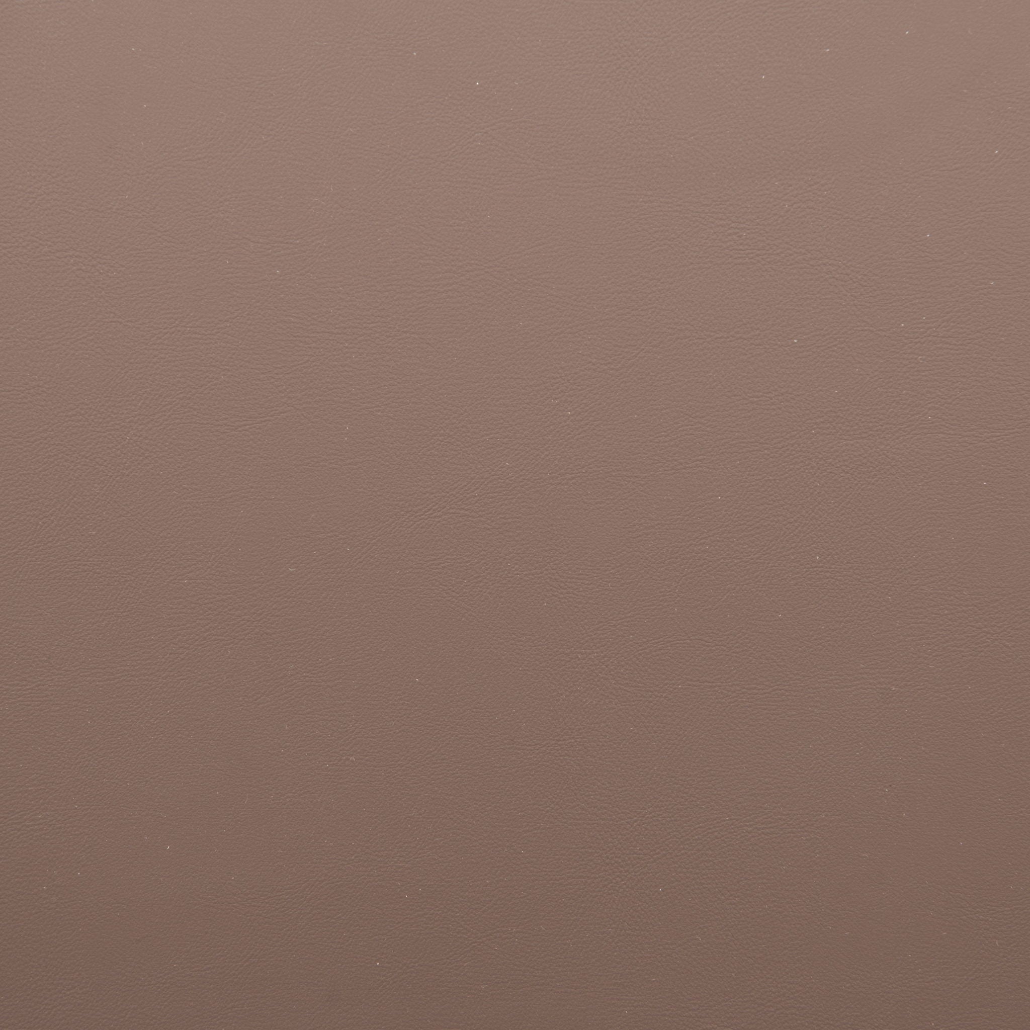 Pioro - Dining Chair (Set of 2) - Brown / Natural